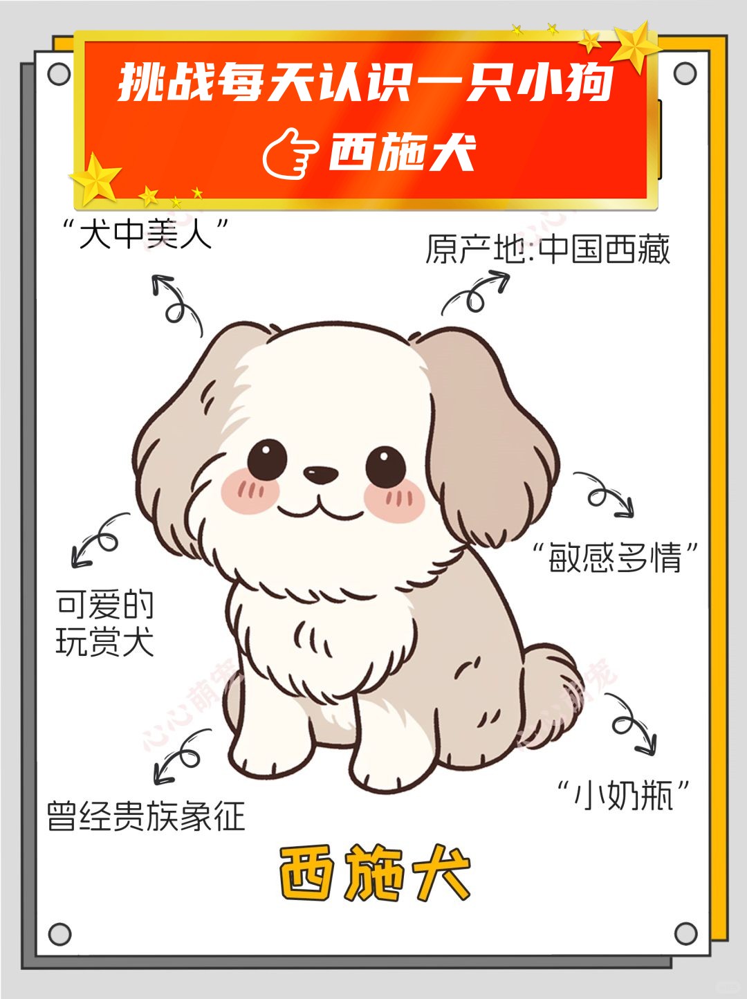挑战每天认识一只小狗西施犬	 西施犬,来自中国西藏的小型犬种,活泼