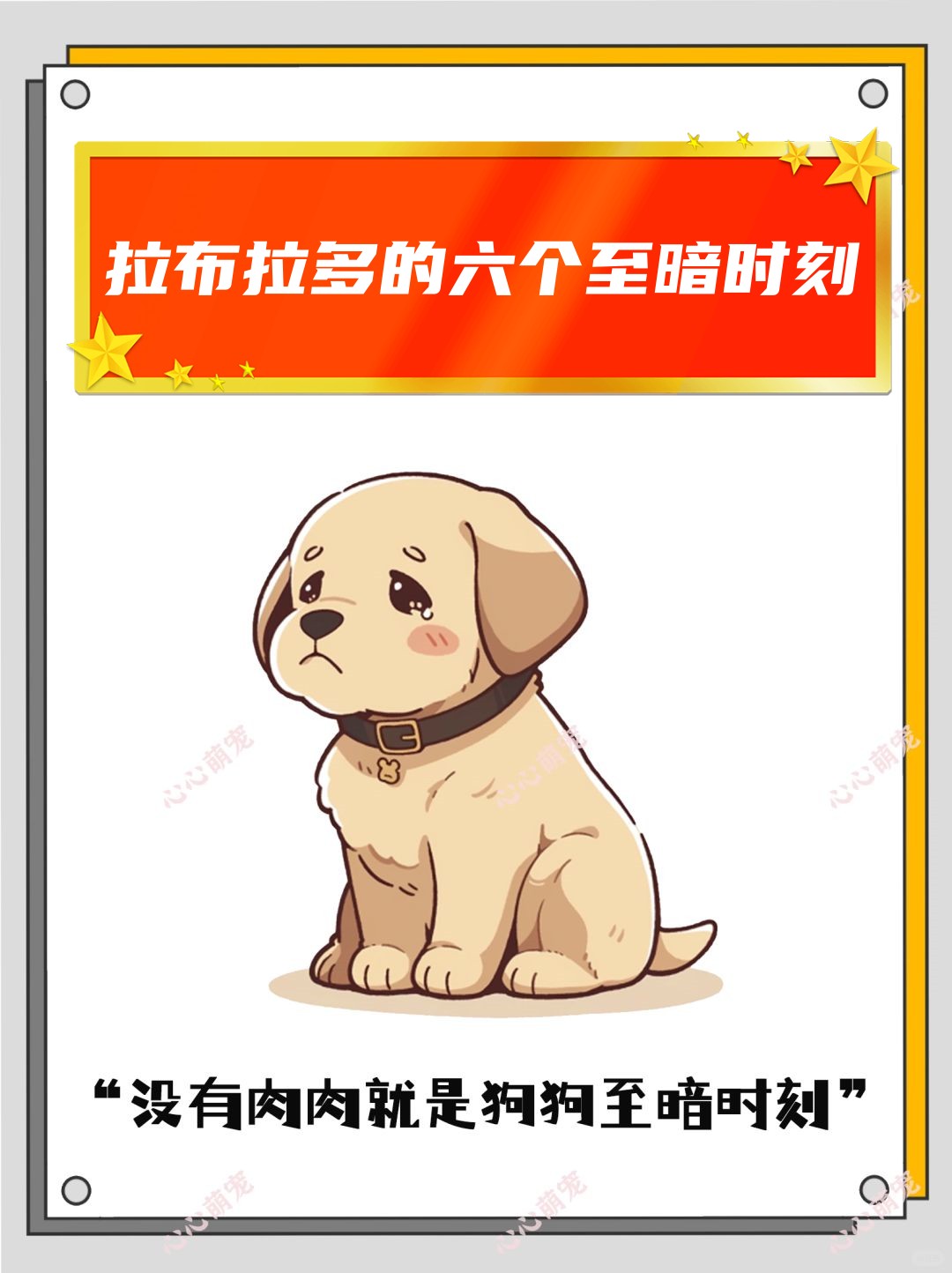 拉布拉多的六个至暗时刻	 拉拉狗狗眼巴巴地望着我仿佛在说没有