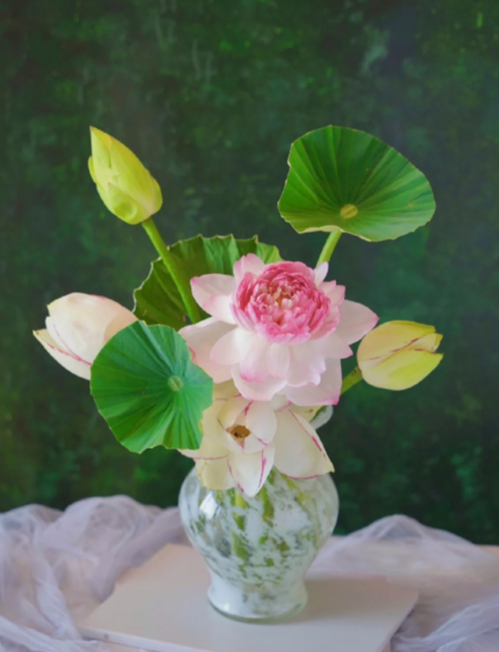 荷是人间清欢|大洒锦重瓣粉荷花 分享一束清冷风的荷花插花 自带凉意