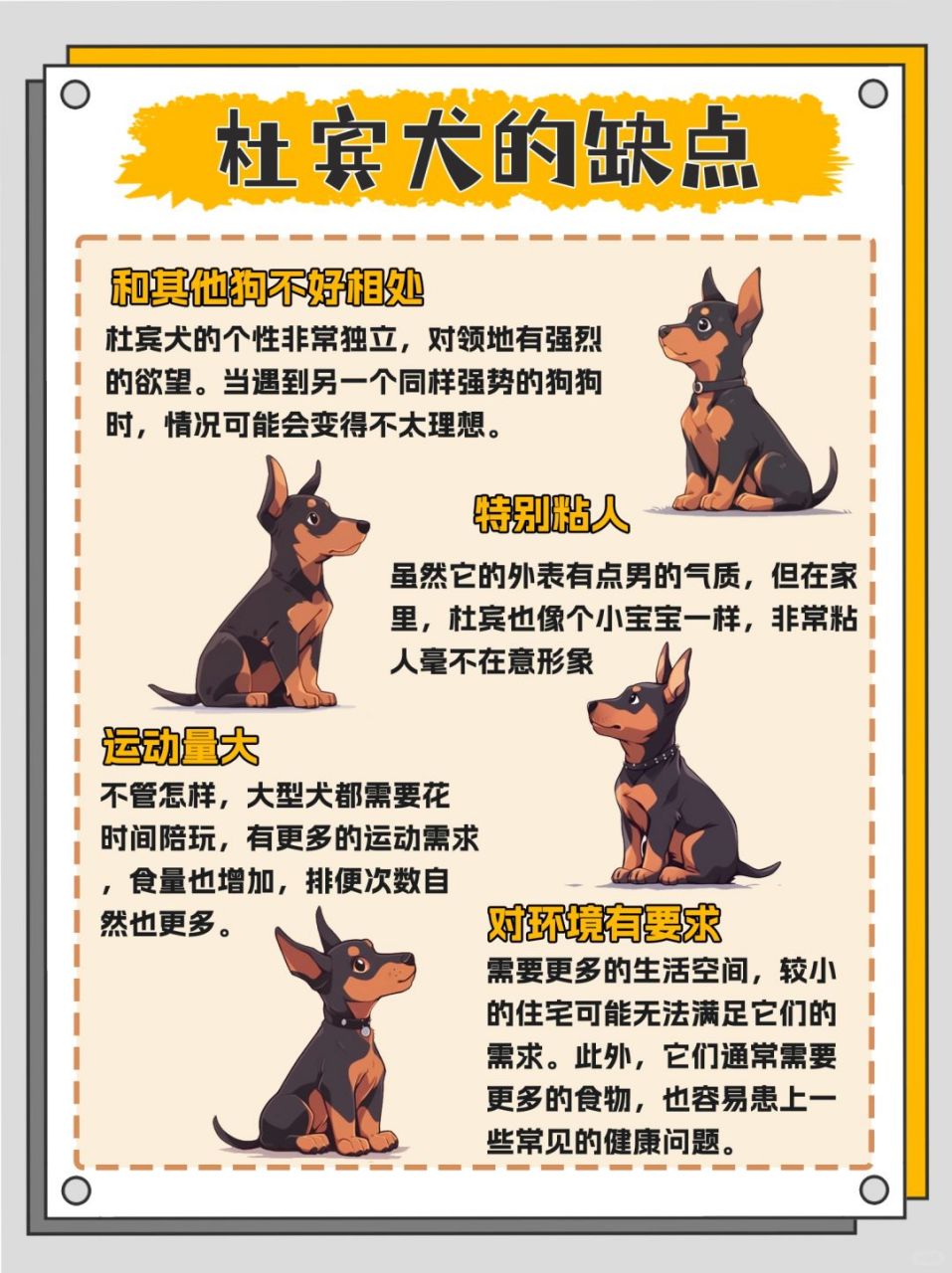 德国绒毛狼犬图片