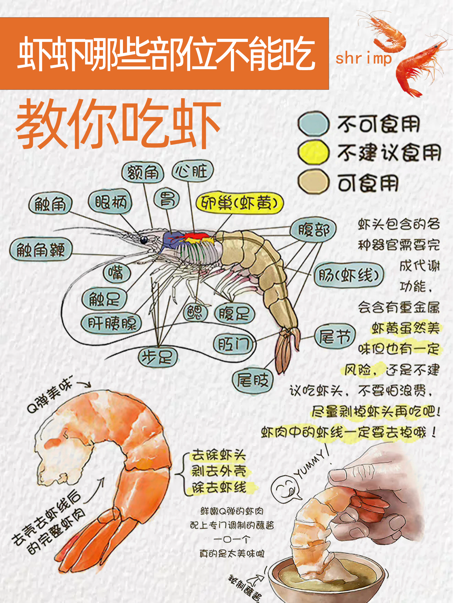 大虾的做法 步骤图片