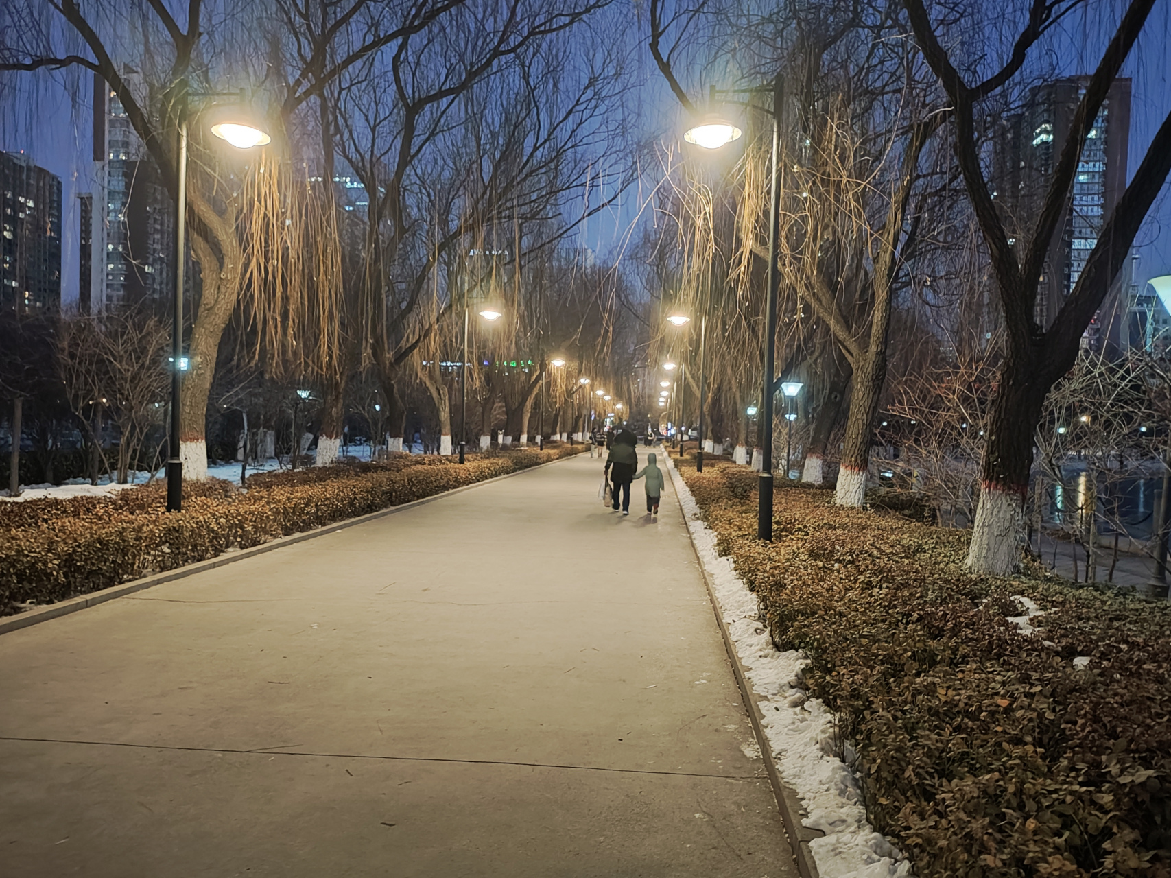 百度秋冬打卡挑战赛#  太原龙潭公园夜景欣赏!