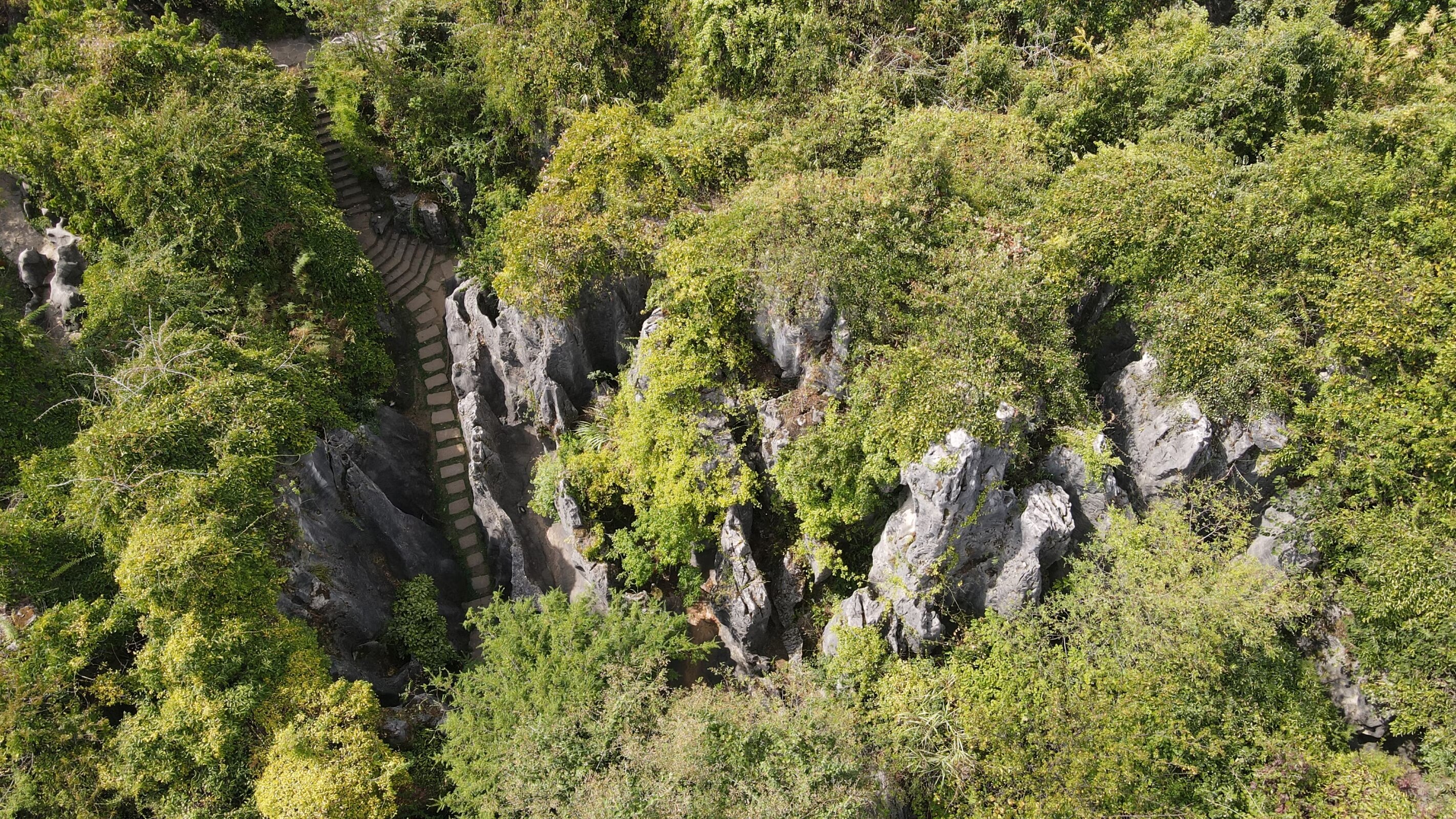 是石灰岩露出海面后,被流水侵蚀,最终形成了地下溶洞,地上悬崖,峰林