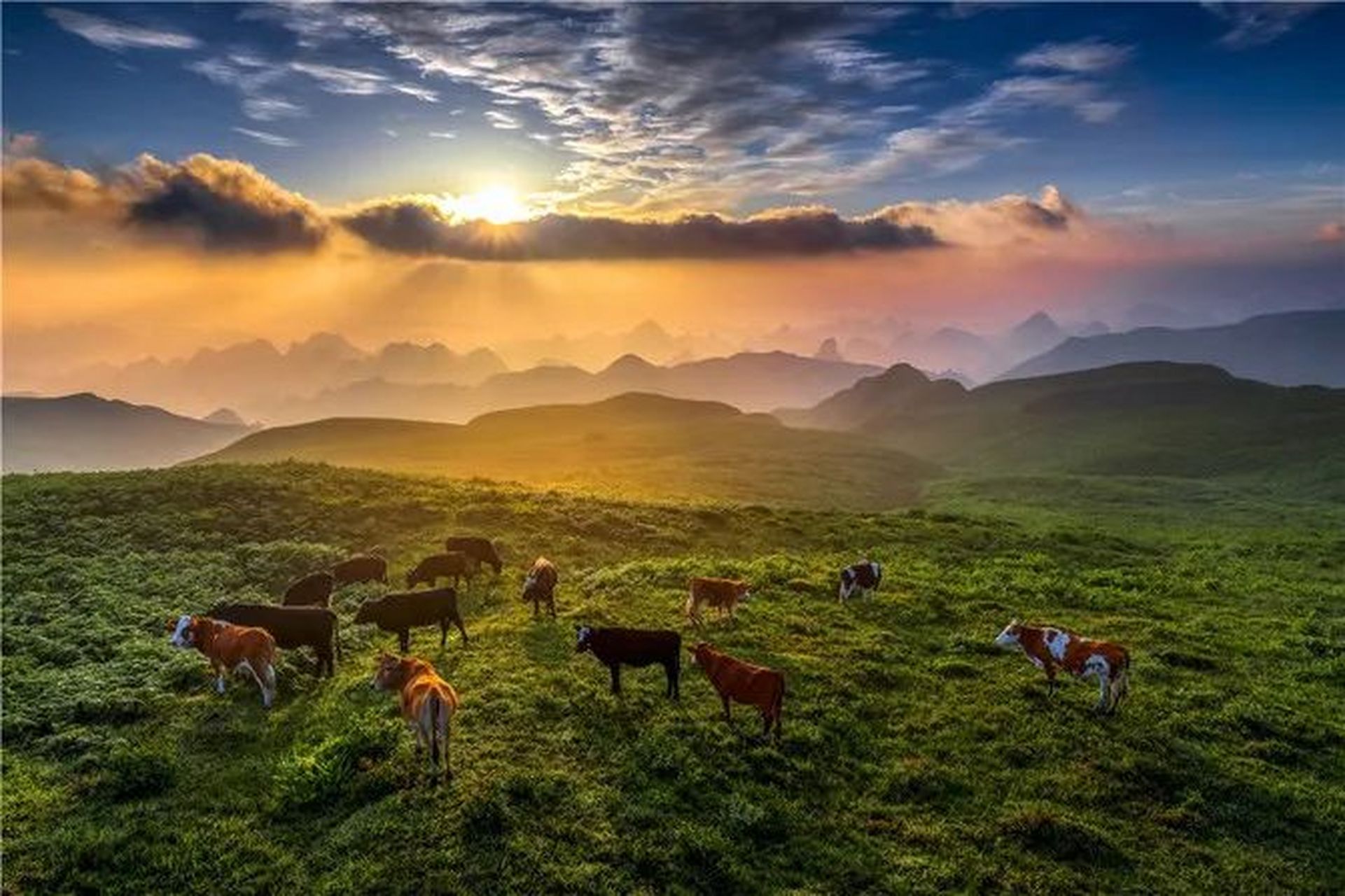 阿西里西大草原景区,位于赫章县威奢,兴发,古达,白果四个乡镇的交界处