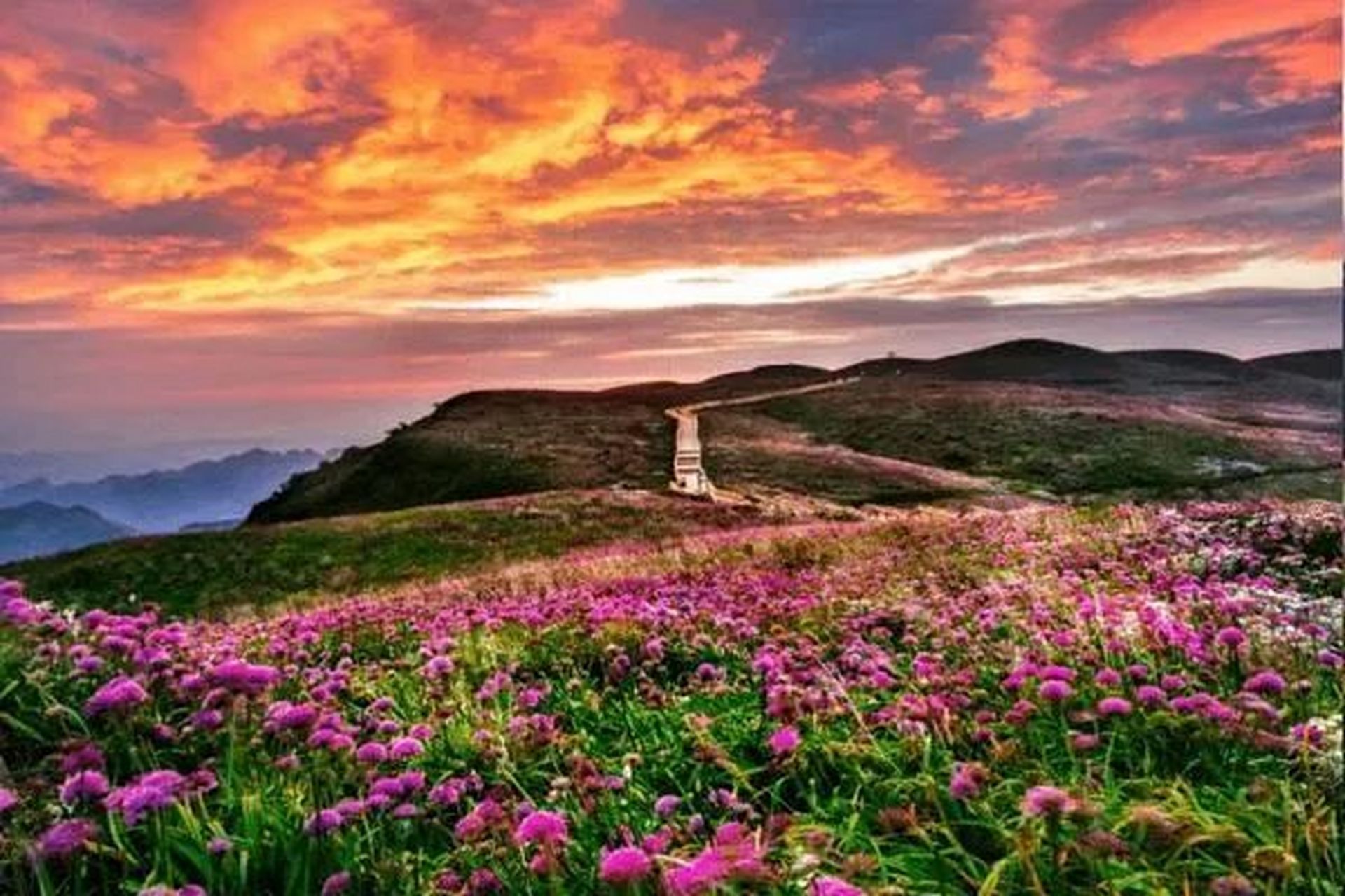 百度秋冬打卡挑战赛# 韭菜坪,坐落于贵州省六盘水市钟山区大湾镇与