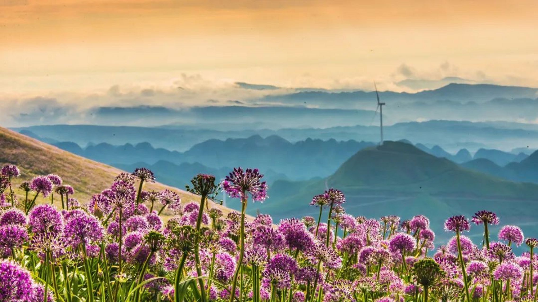 百度秋冬打卡挑战赛# 韭菜坪,坐落于贵州省六盘水市钟山区大湾镇与