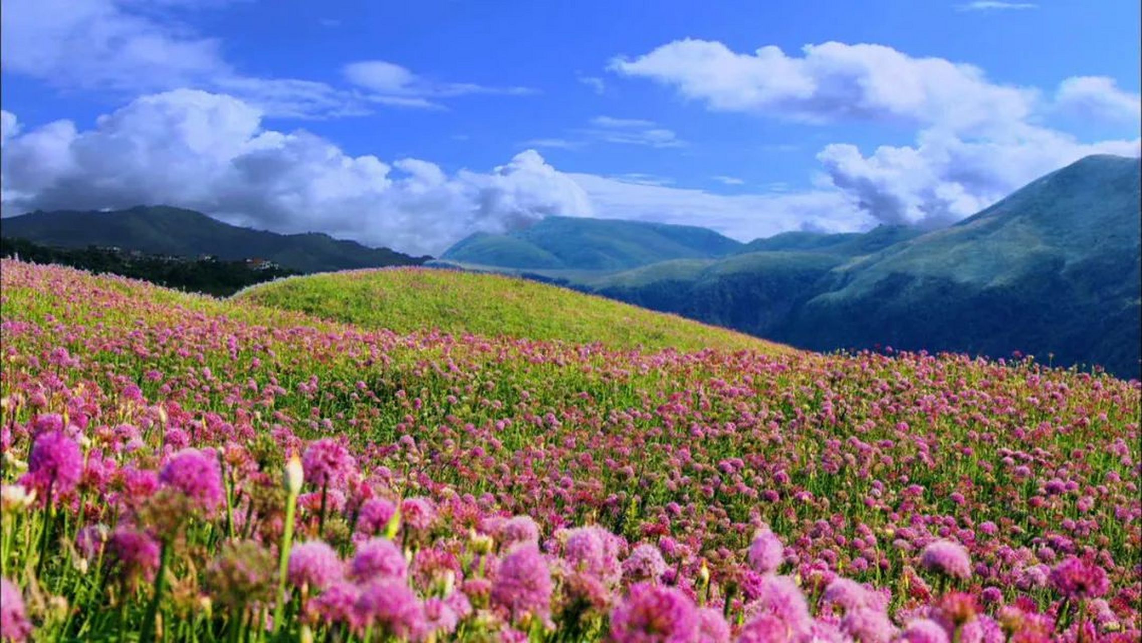 大韭菜坪景区图片