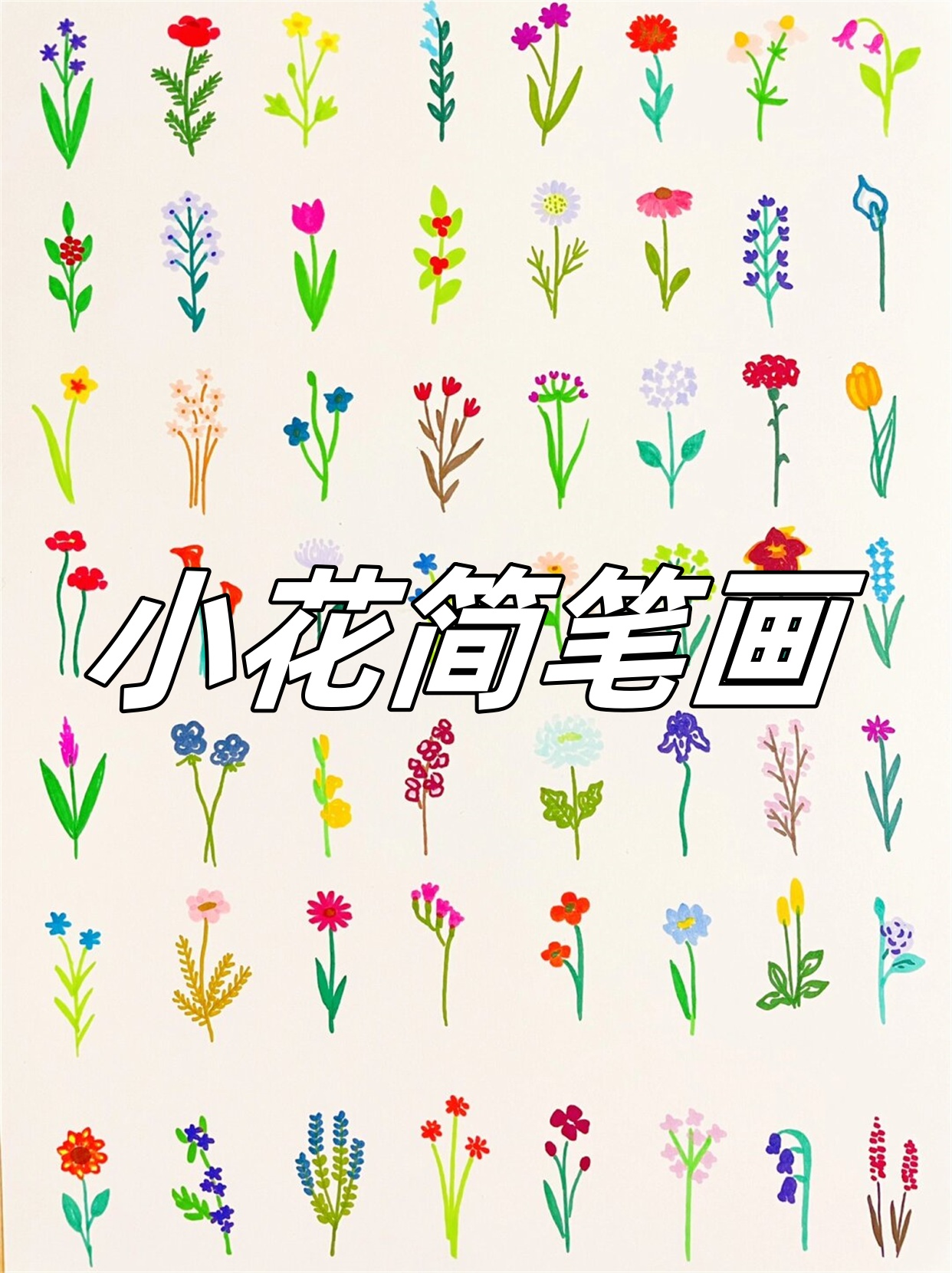 在繁忙的生活中,我们常常需要一些温暖和治愈