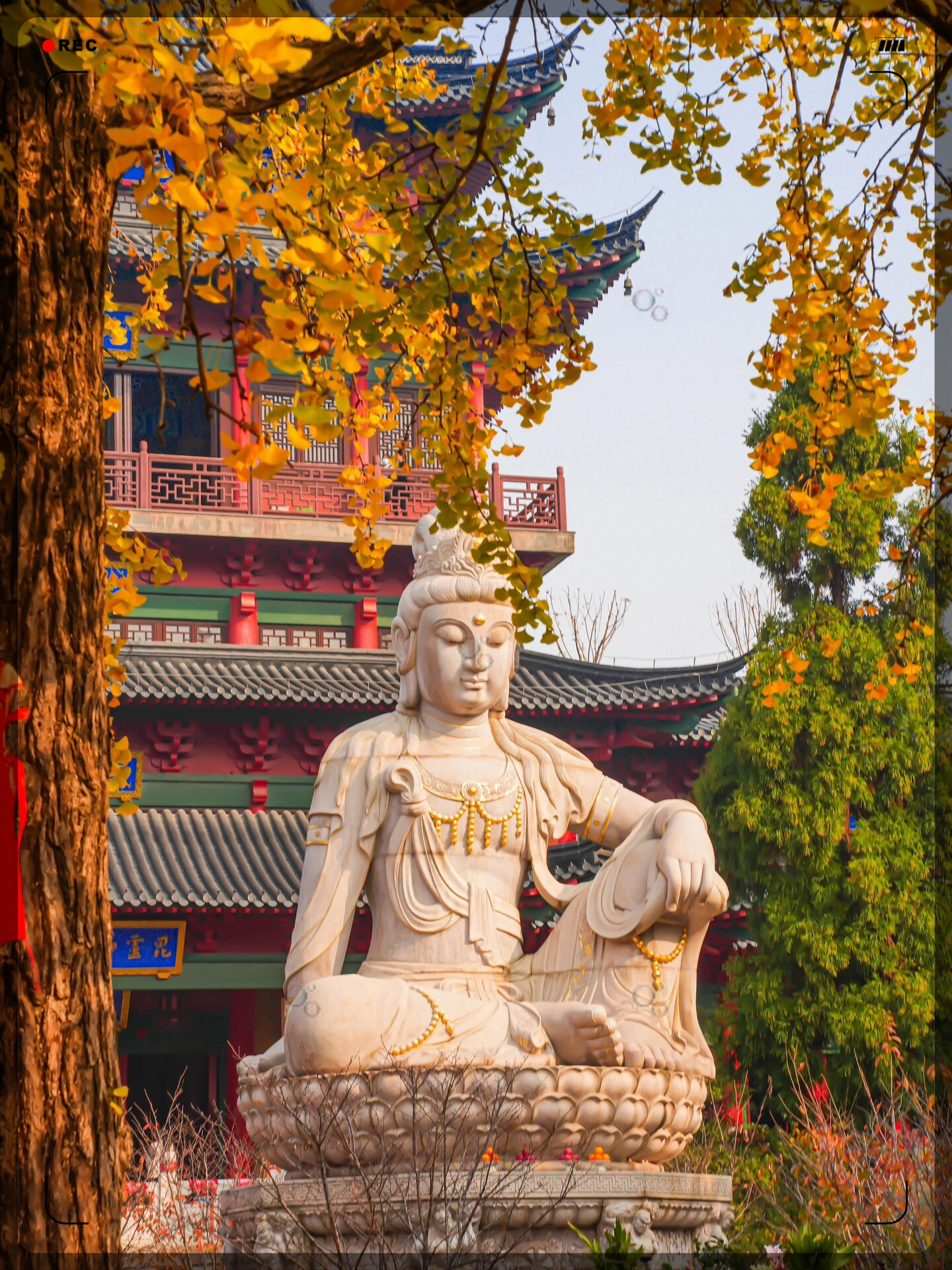 毗卢寺隐藏在喧嚣的闹市中与大街小巷相映生辉
