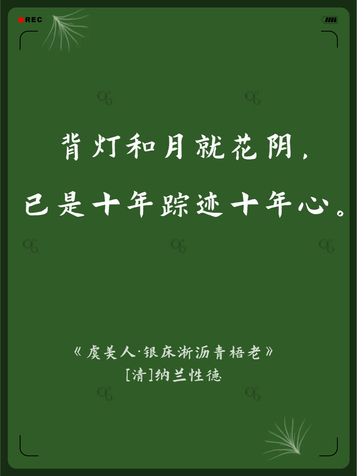 虞美人·银床淅沥青梧老  #我要上热门