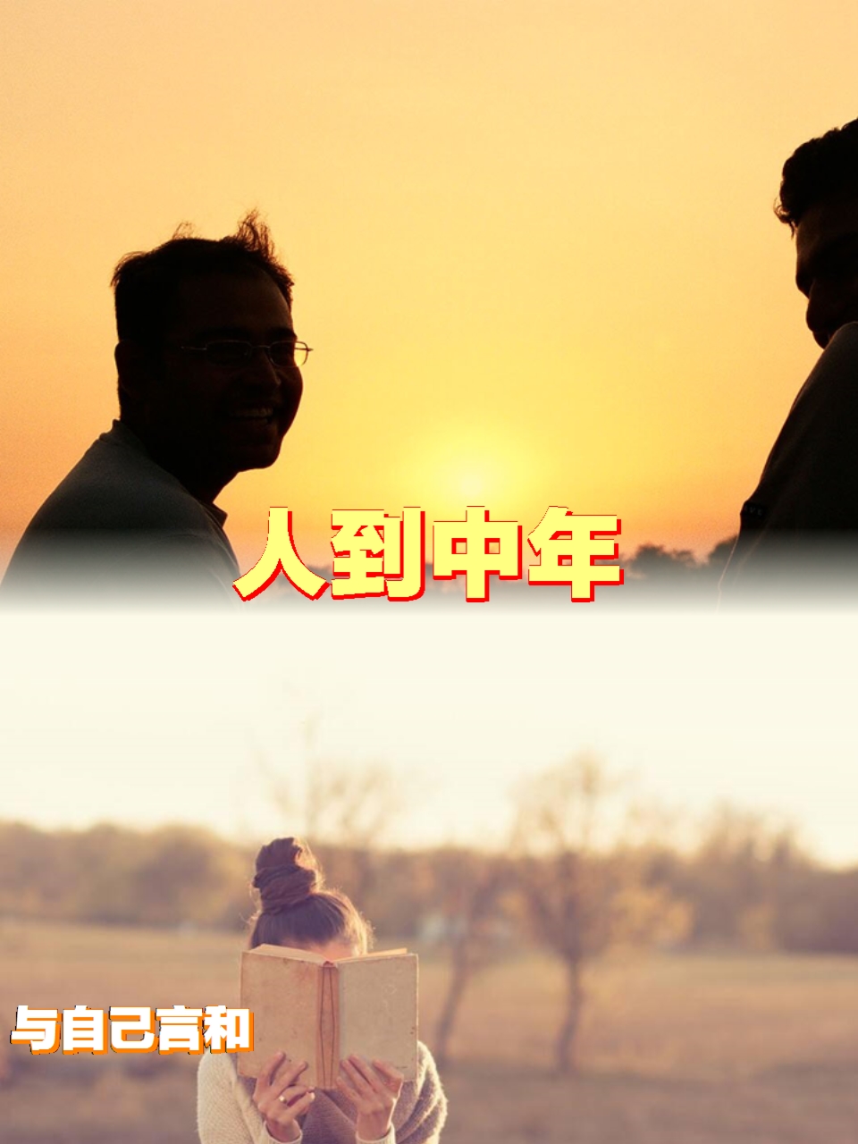 人到中年,与自己言和,与岁月相安