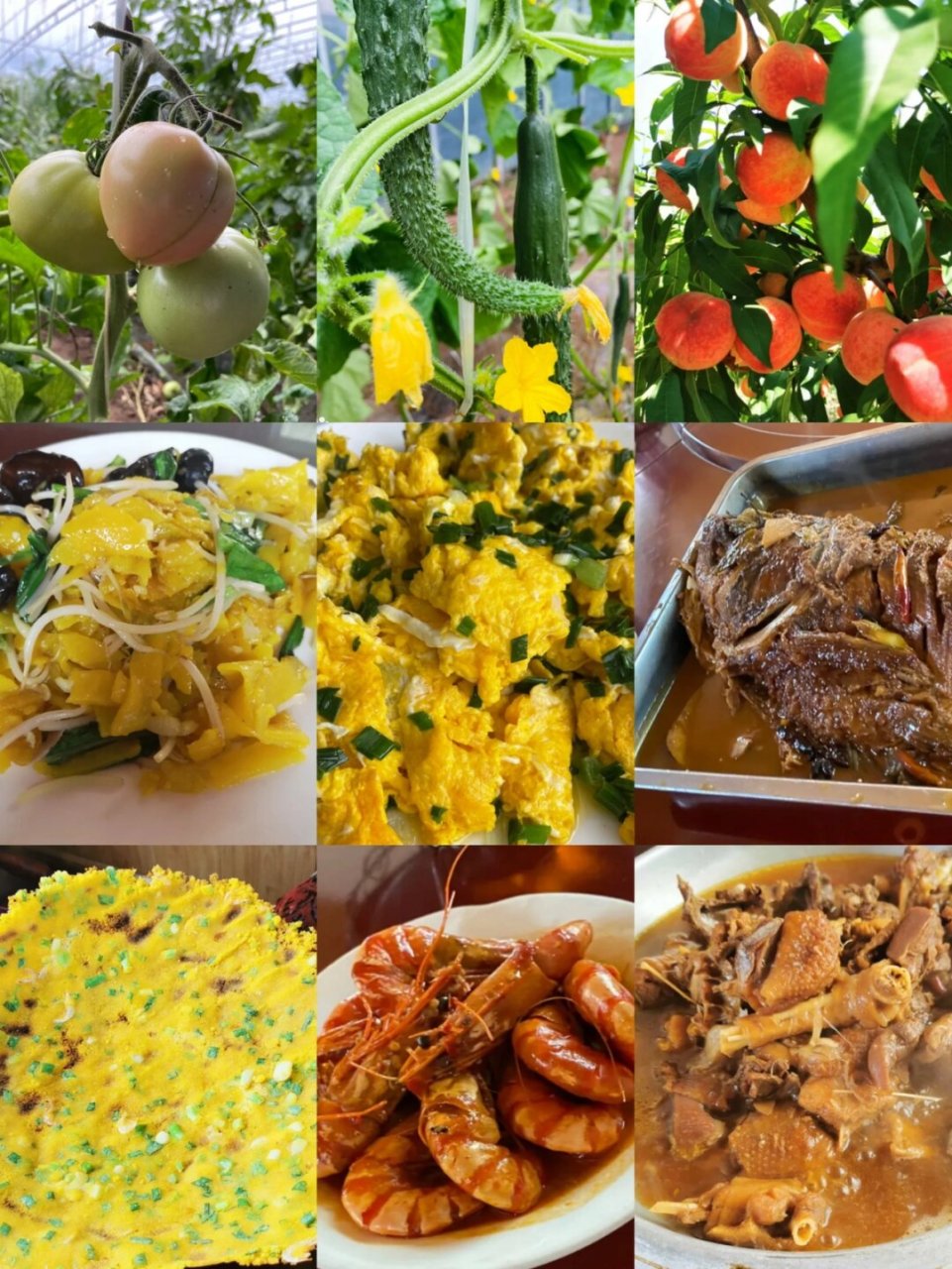 『春光家庭农场』  【春光家庭农场】 位于天津市静海区独流镇十一堡