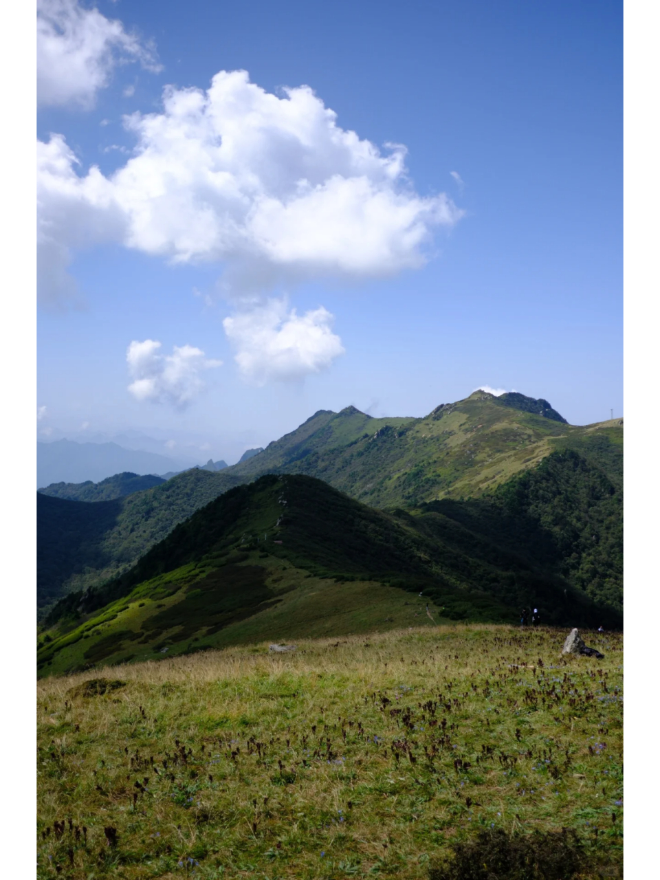 秦楚古道景区图片