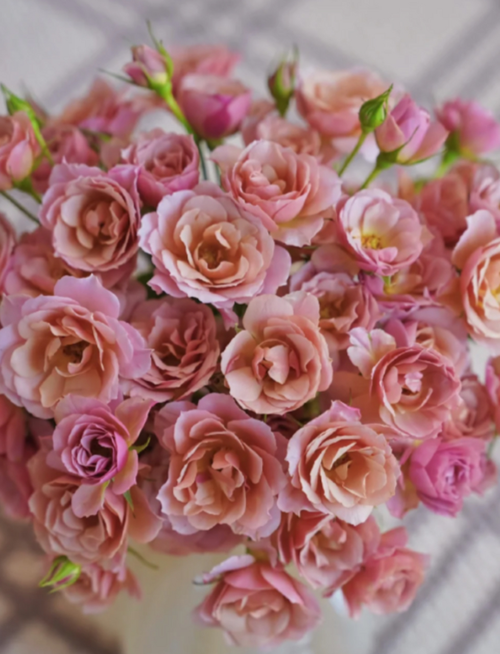 伊织泡泡多头玫瑰|复古温柔风 偷个懒,简单一束玫瑰花花 温柔风复古色