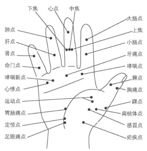 右手手背经络图解大图图片