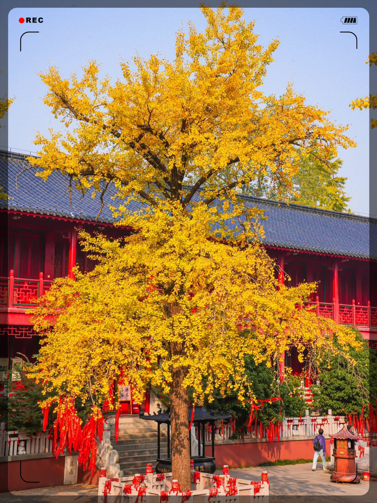 毗卢寺隐藏在喧嚣的闹市中与大街小巷相映生辉