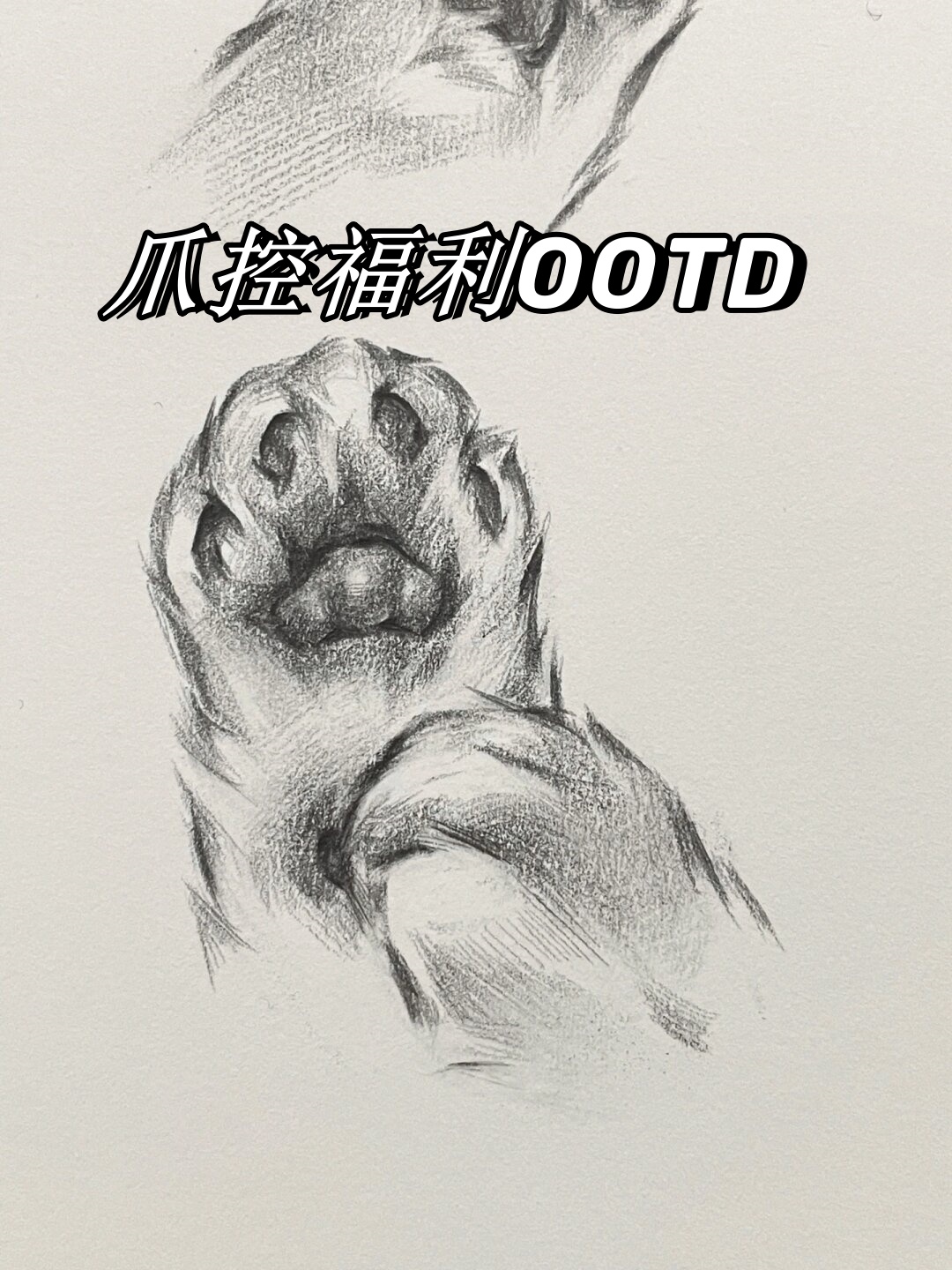 爪控福利  描画的猫爪,有没有觉得我画的还不错