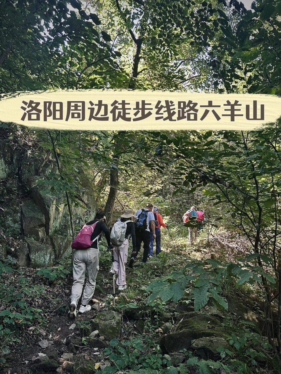 鲁山六羊山风景区门票图片