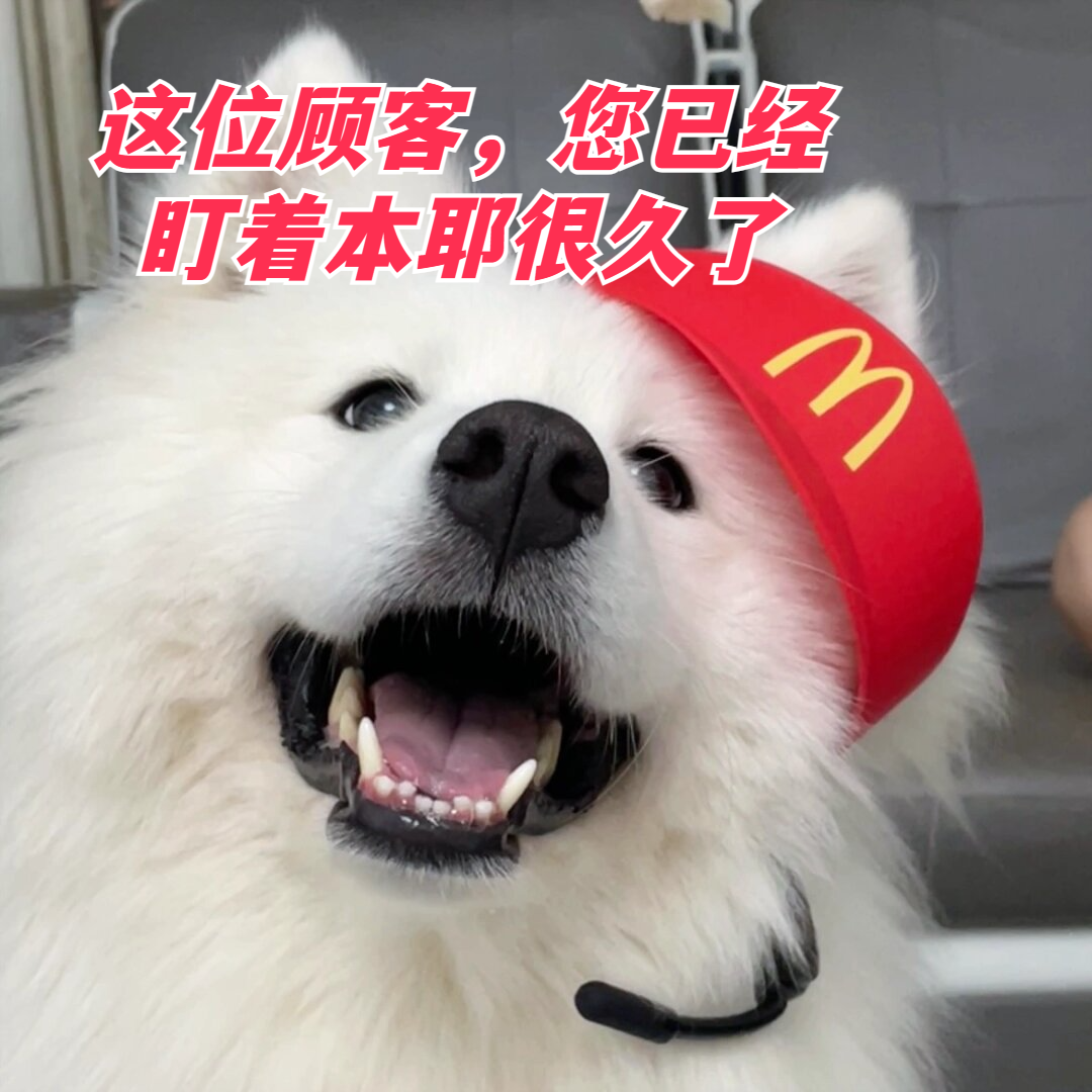 我们现在可以开始点餐啦!