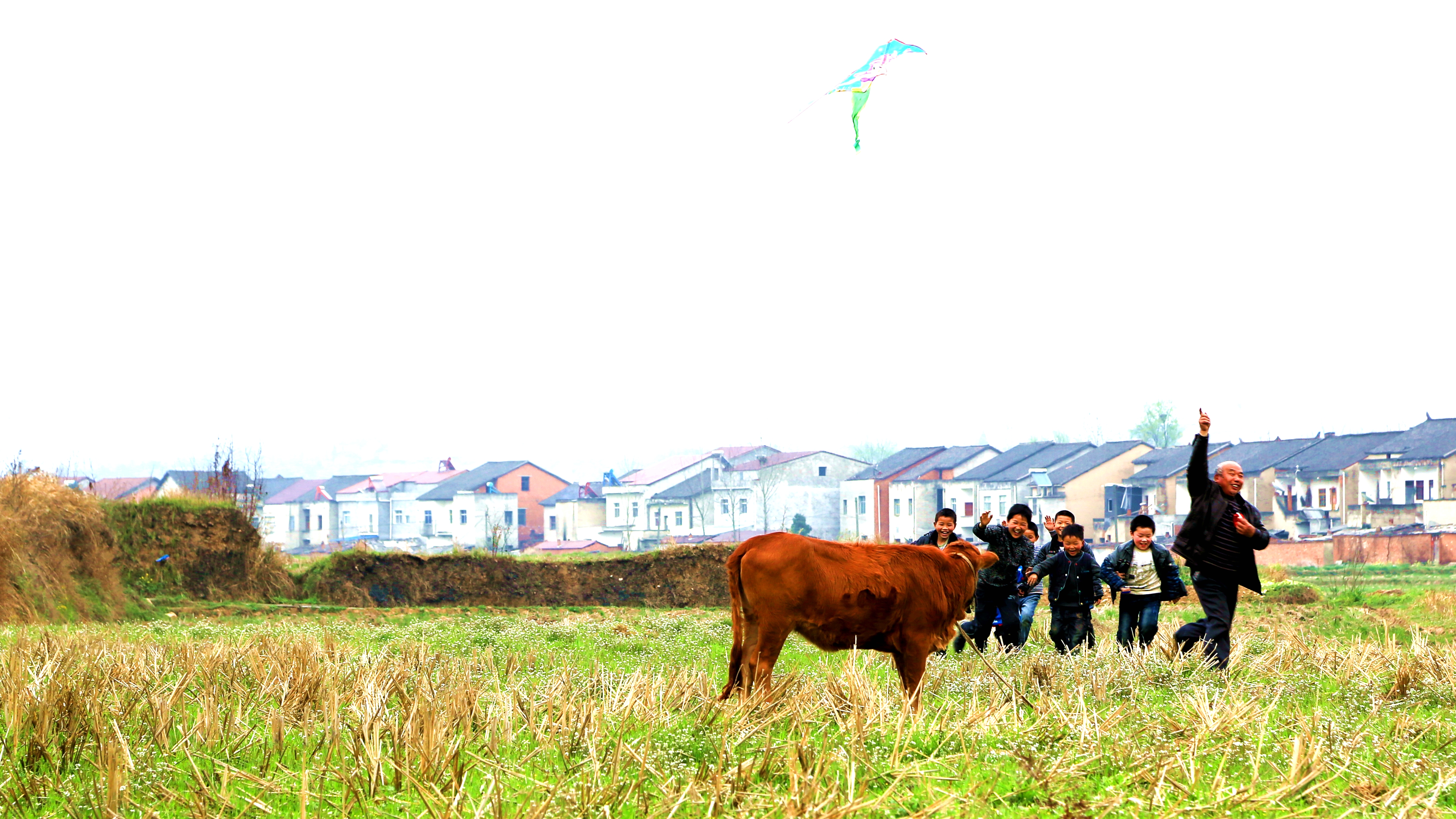 那是一个宽广而自由的天地, 我们可以在那里尽情地奔跑,欢笑,释放