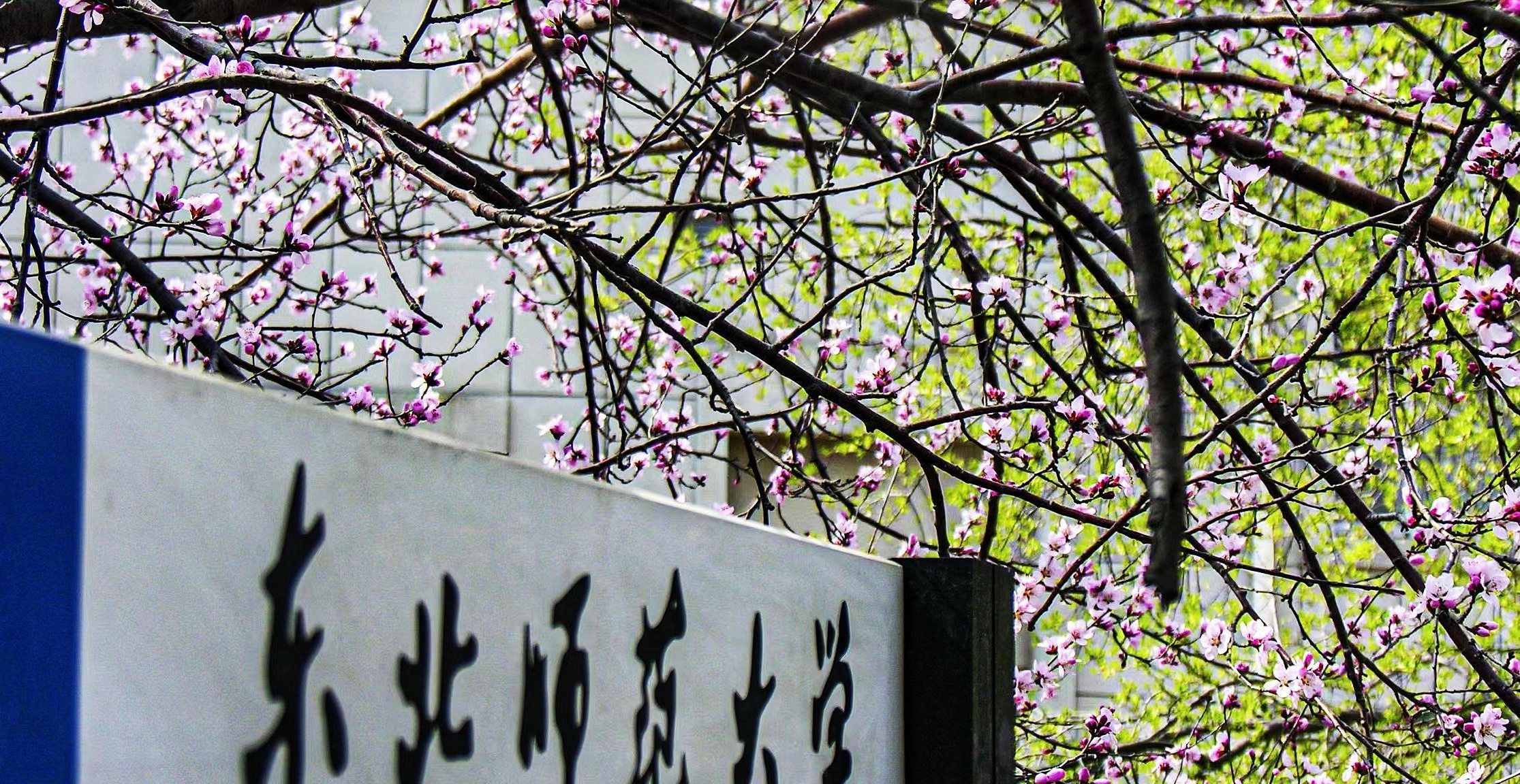 教育实力和影响力双丰收东北师范大学位于吉林省长春市,校园分布在