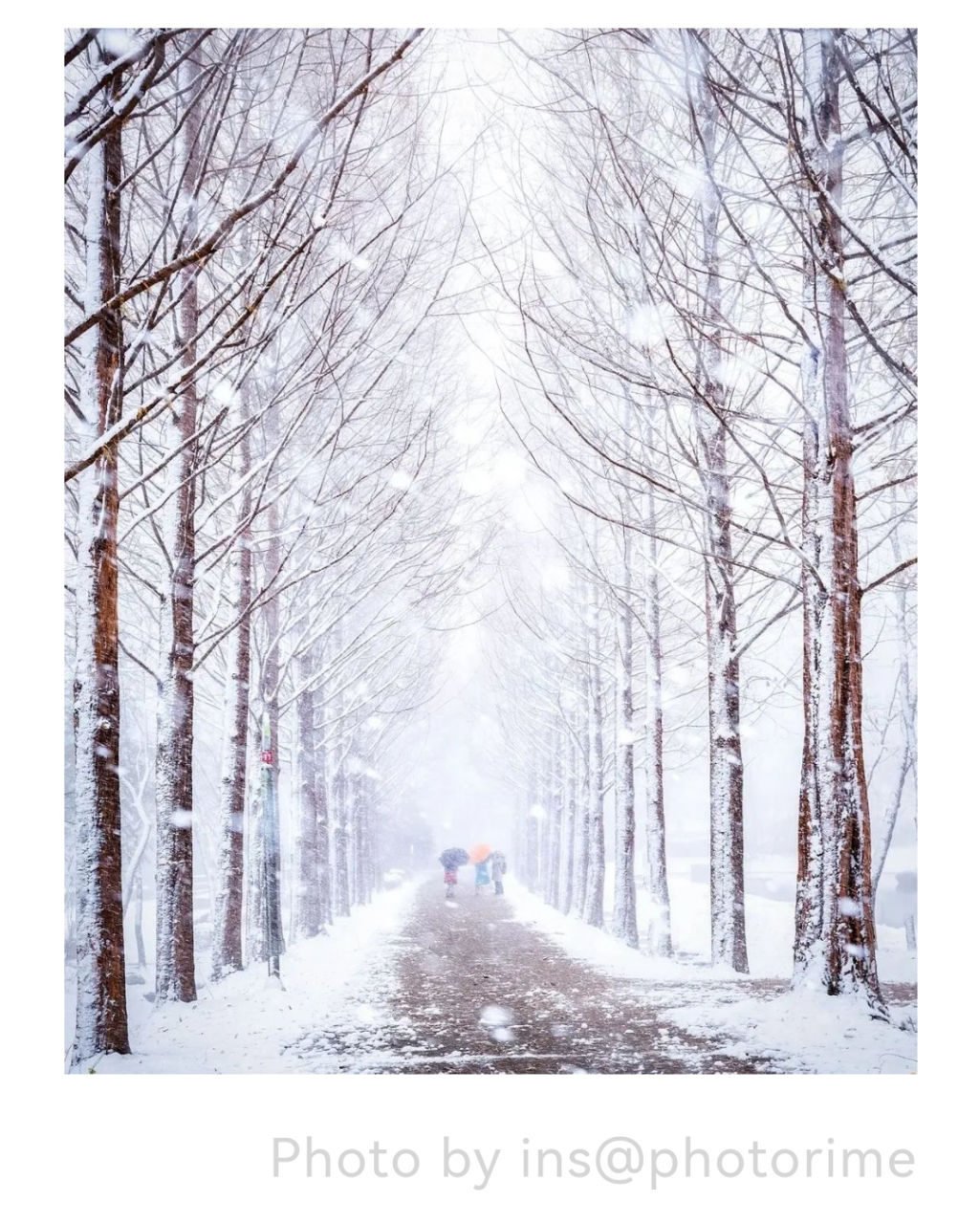 特点:景大人小,景色足够优美,人与景完美的融合,人本身就是大自戎中