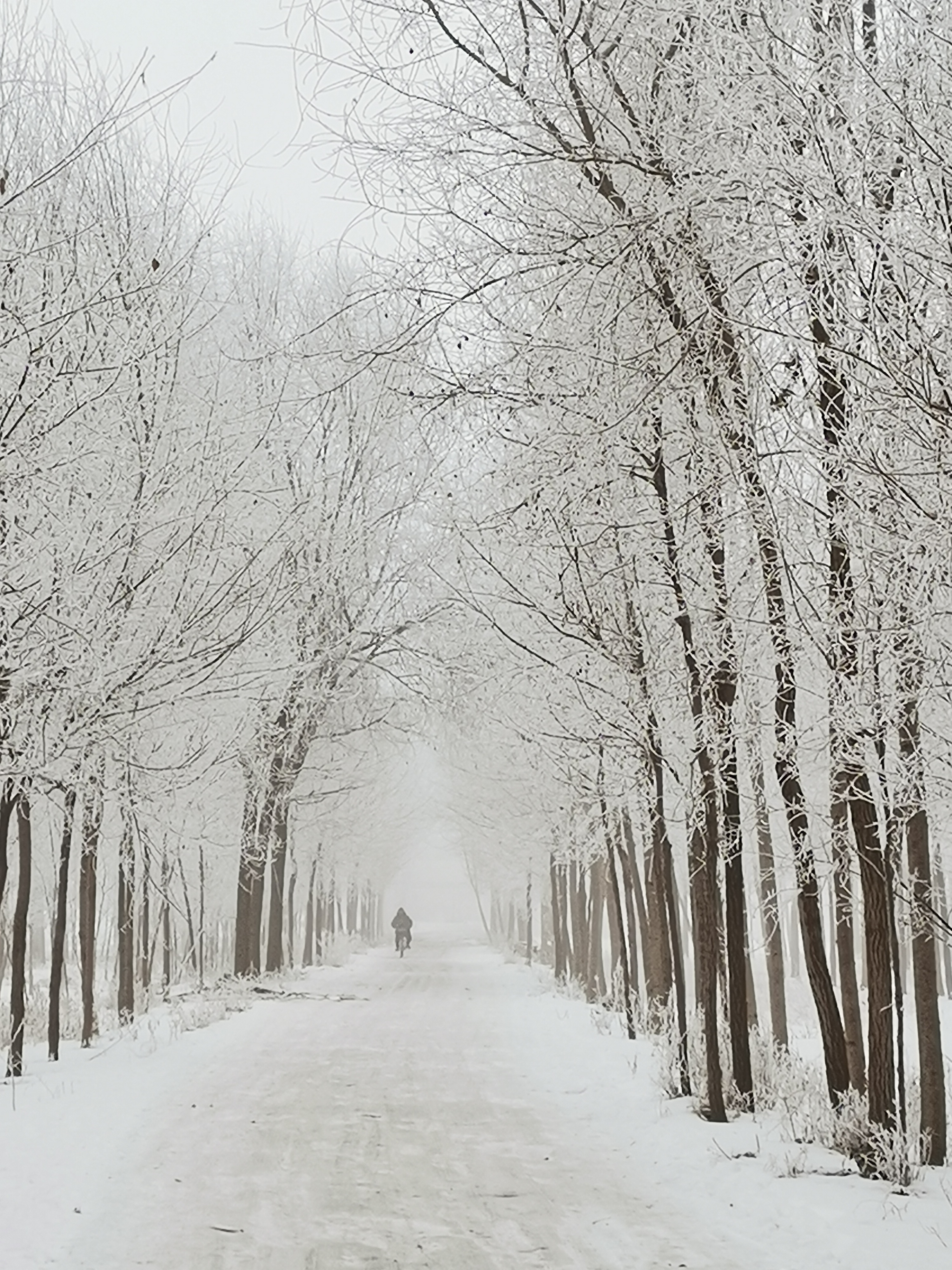 雪上加霜,竟是如此的美妙!