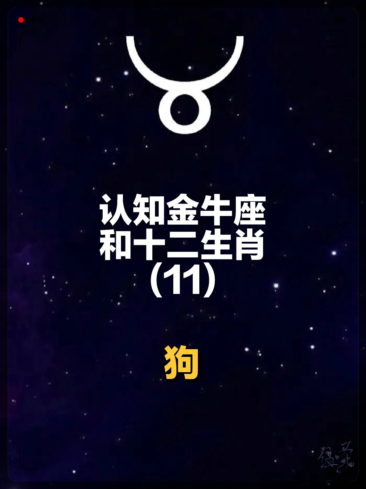 生肖狗金牛女感情运势(属狗女金牛座的真实性格)