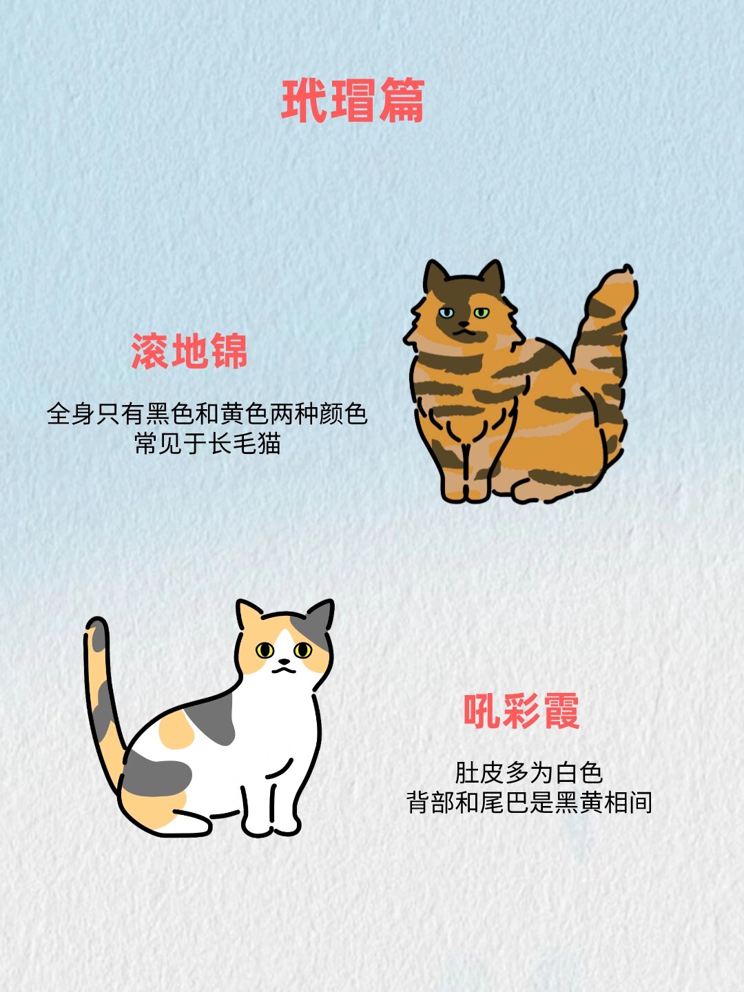 猫咪在古代的称呼  古人的创意真是无穷无尽