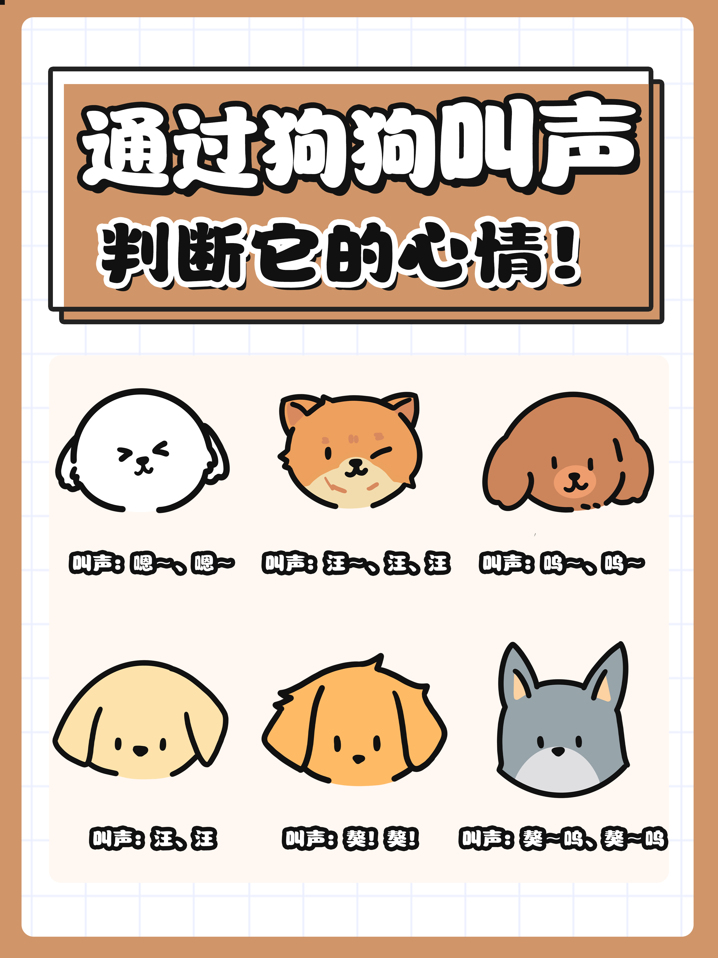 从狗狗的叫声了解它的心情