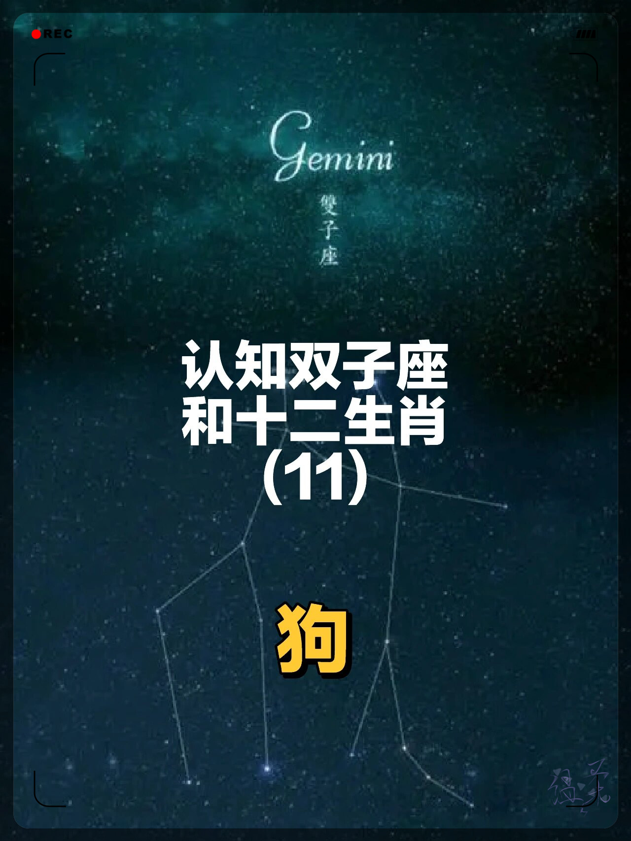 生肖狗双子座运势(生肖狗双子座运势如何)