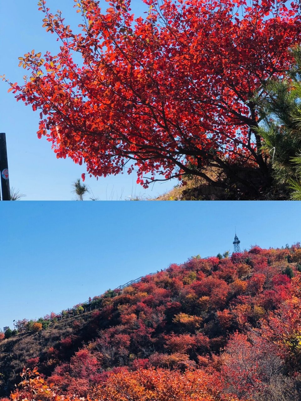 五彩浅山哪个景点最好图片