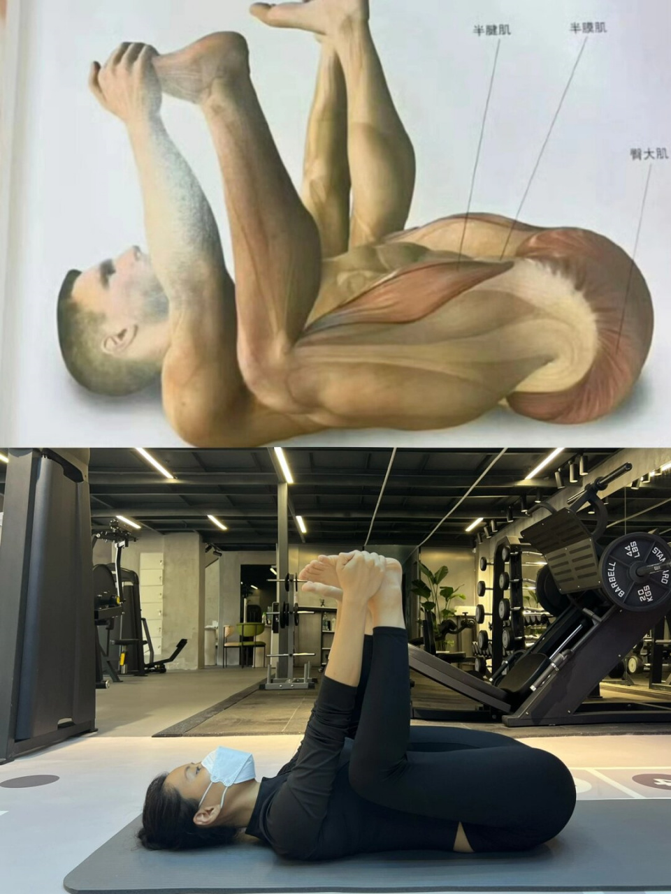 拉伸动作千变万化,若要掌握一套最全面的拉伸,可谓是