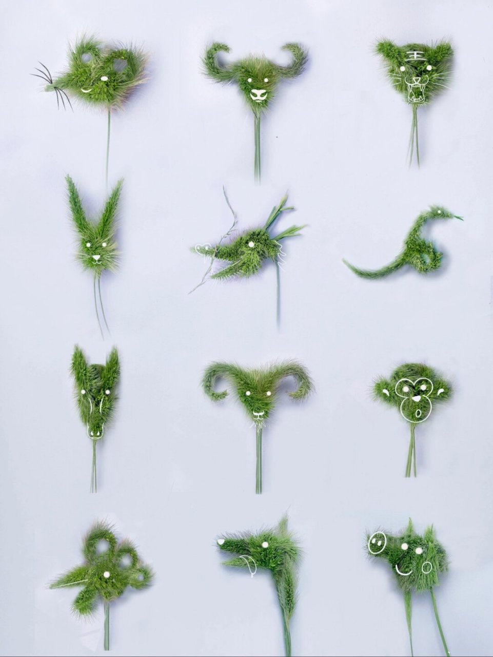 受到启发,我突发奇想,决定尝试挑战用狗尾巴草编织一套完整的十二生肖