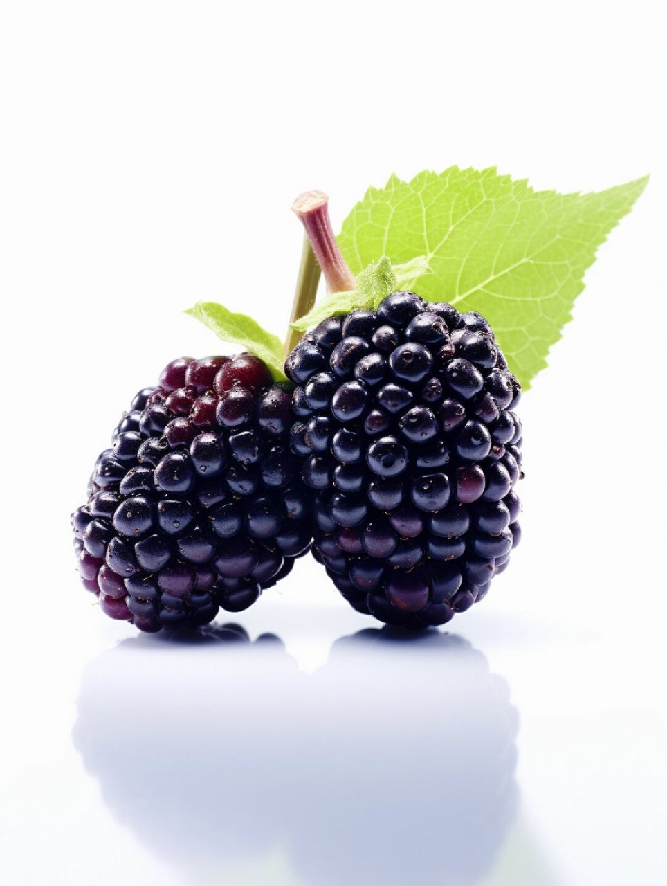 绘画素材~单体水果  诱人的水果,看起来好好吃.