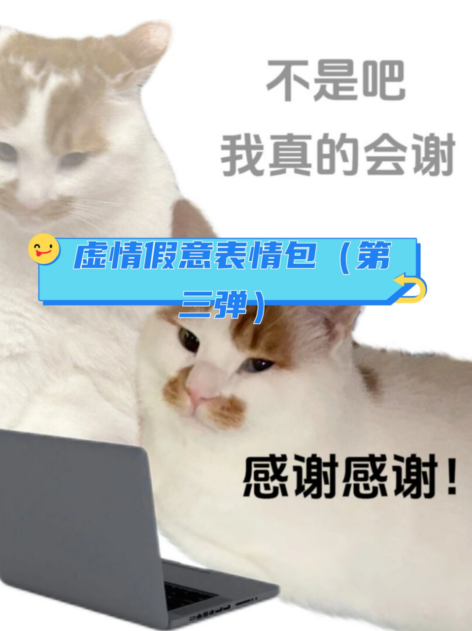 虚情假意表情包图片