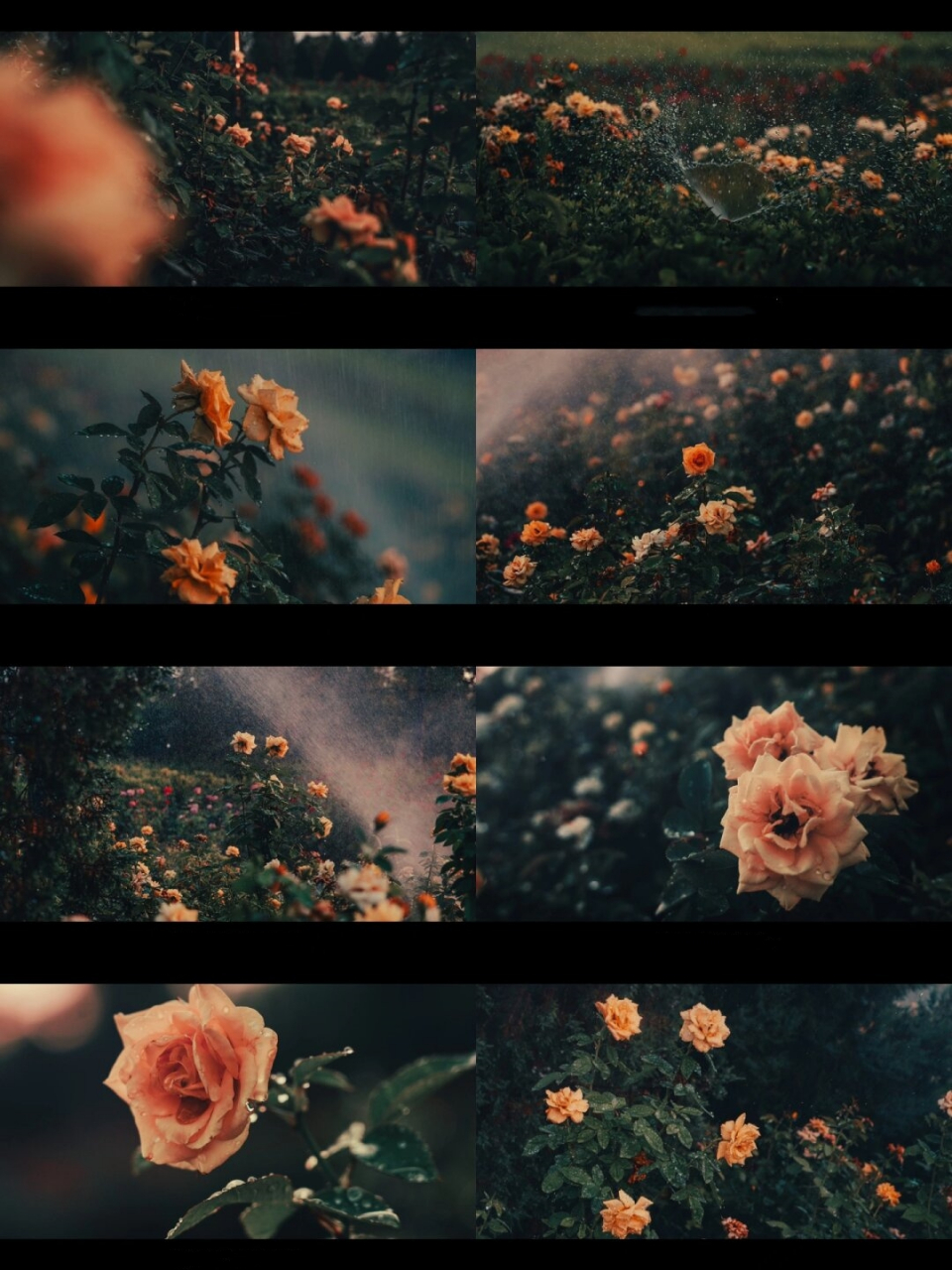 浓郁的暗色调真的很爱  日复一日,年复一年,暮色沉沉,烟火繁盛.