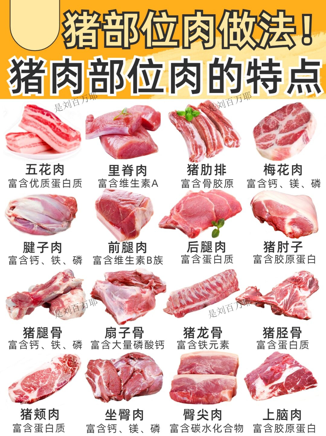 猪肉16个部位肉的特点 一起涨知识       今天给大家分享一期猪肉16个