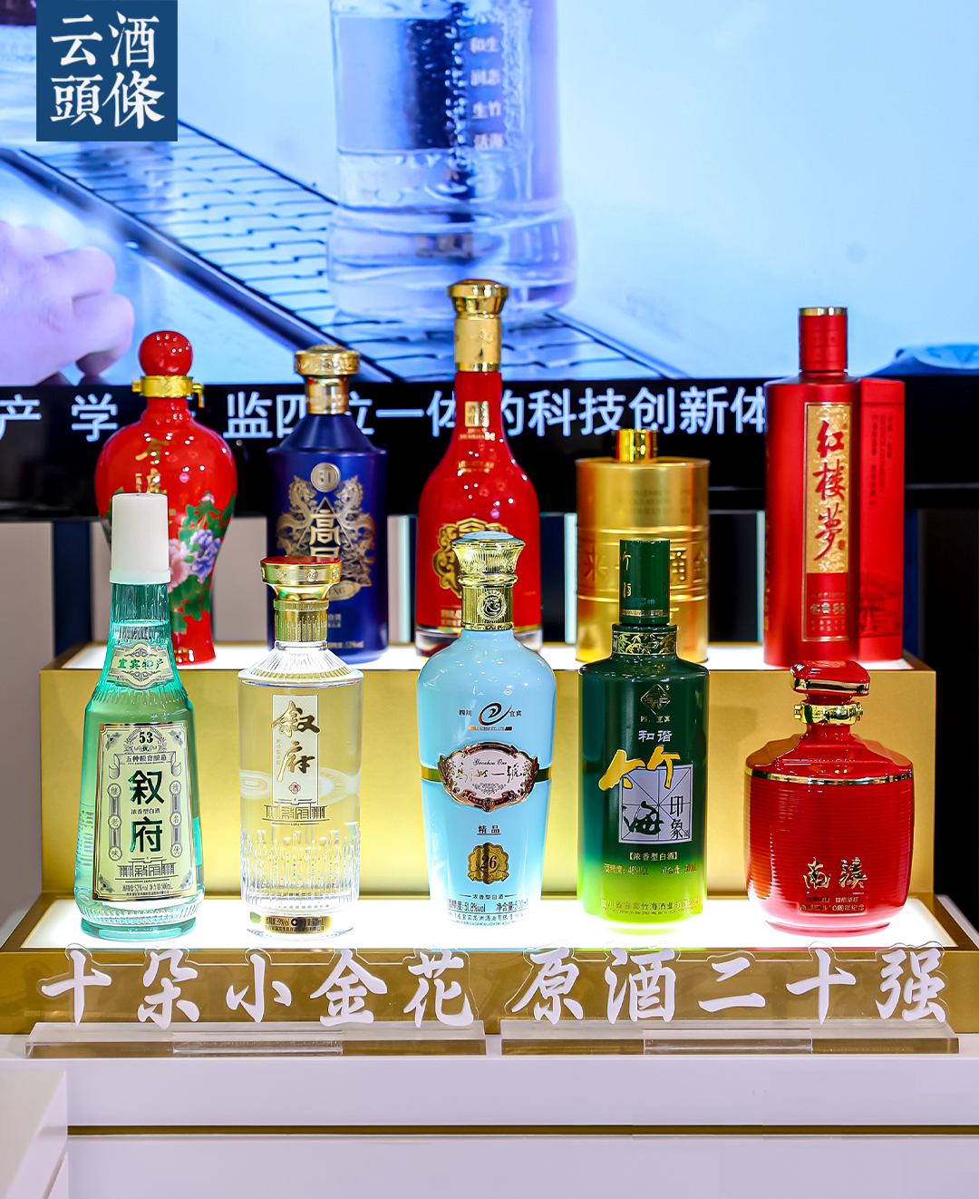 川酒再启"十朵小金花"评选,为什么值得期待?