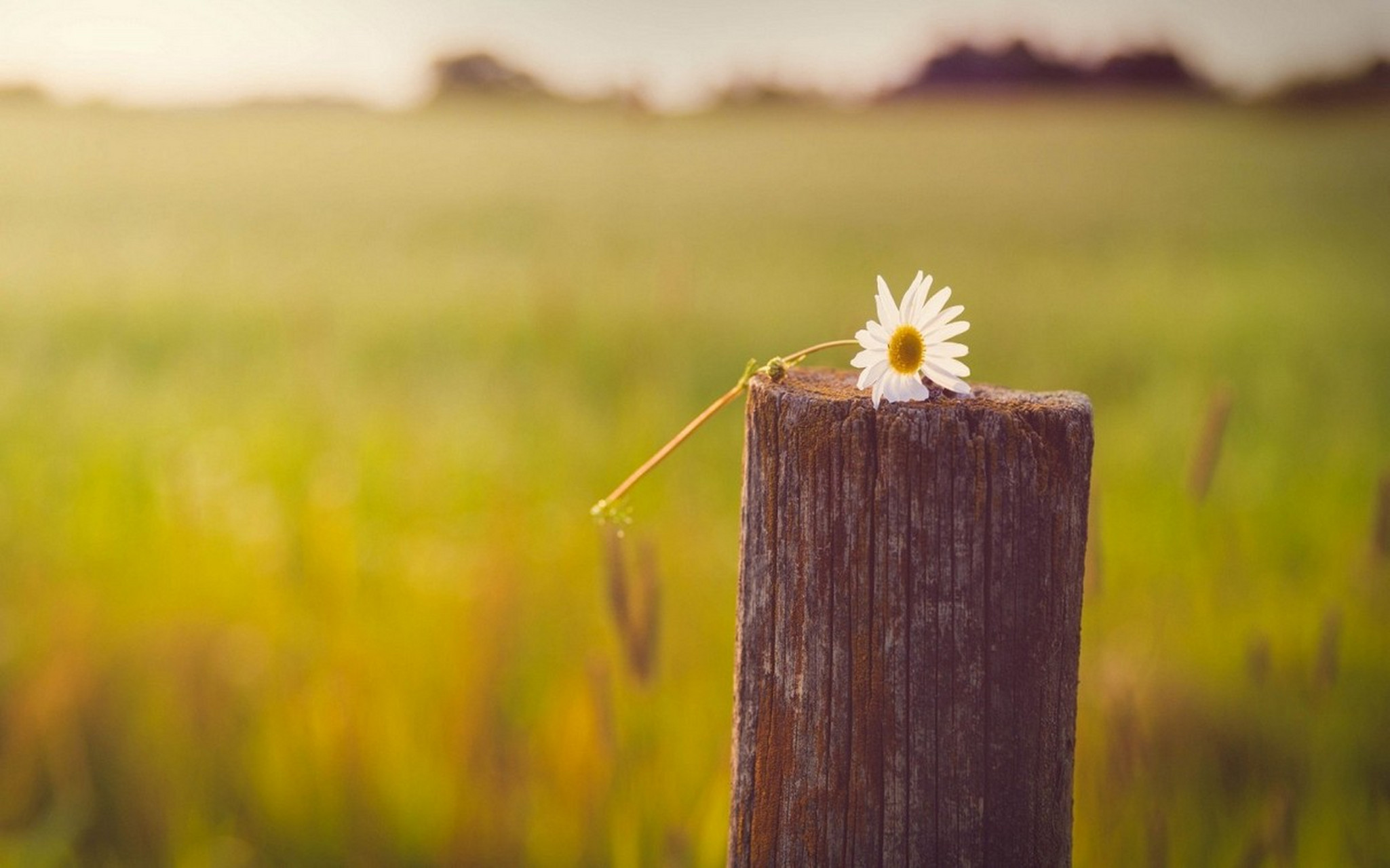 早安心语# 时间是最好的良药,一切都会过去.余生很贵,好好善待自己.