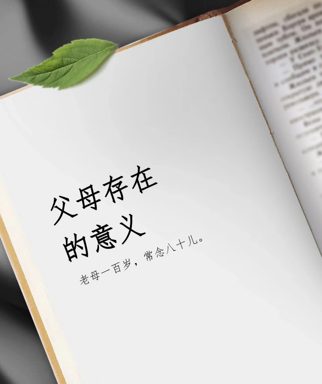 父母存在的意义