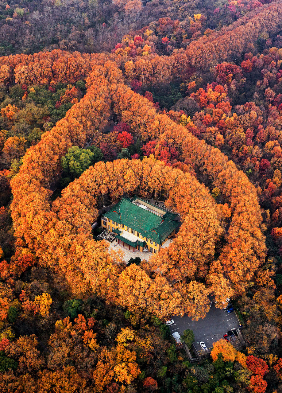 南京中山陵景区介绍图片