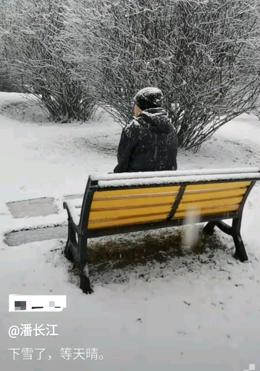 潘长江雪中独坐背影,让人心酸