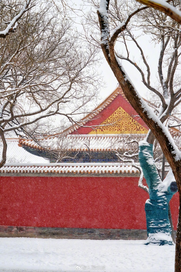 故宫的雪景真是绝了!