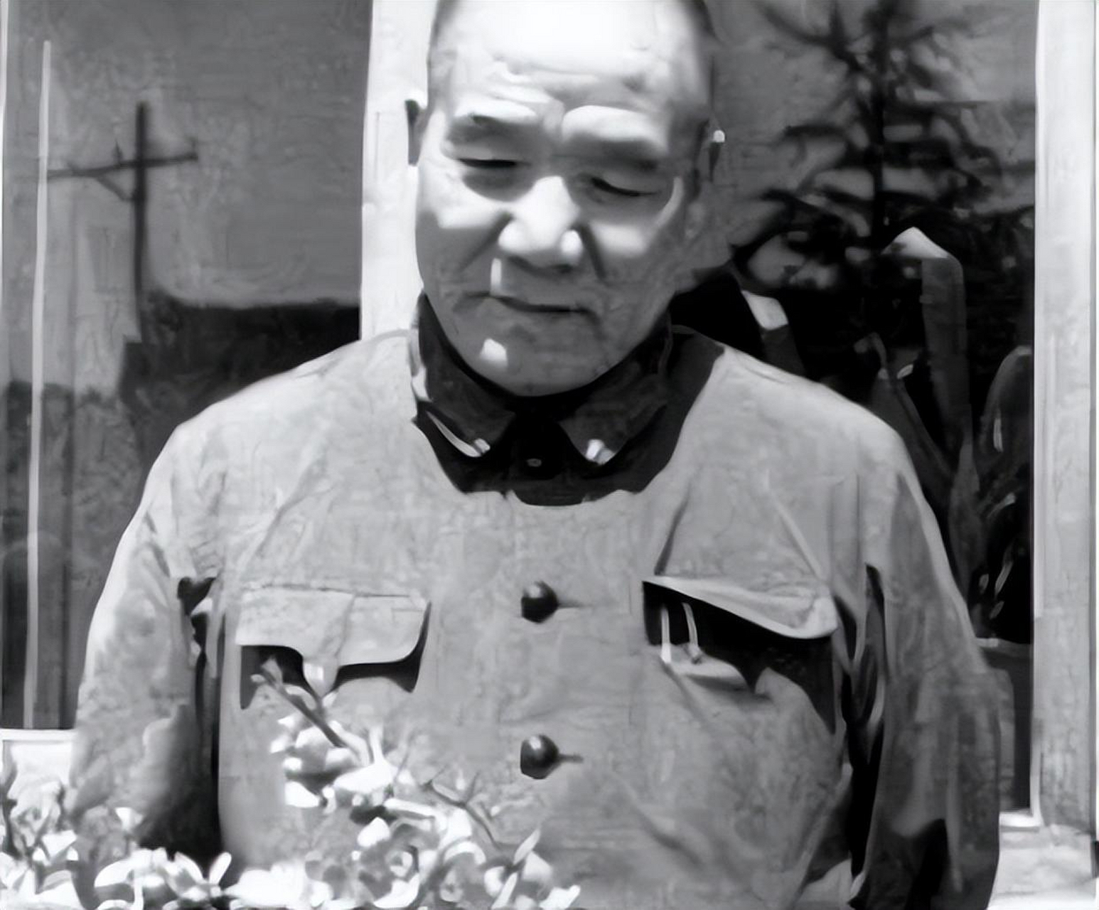 历史老照片# 李达将军不仅是刘伯承的第一爱将,在紧要时刻也是唯一