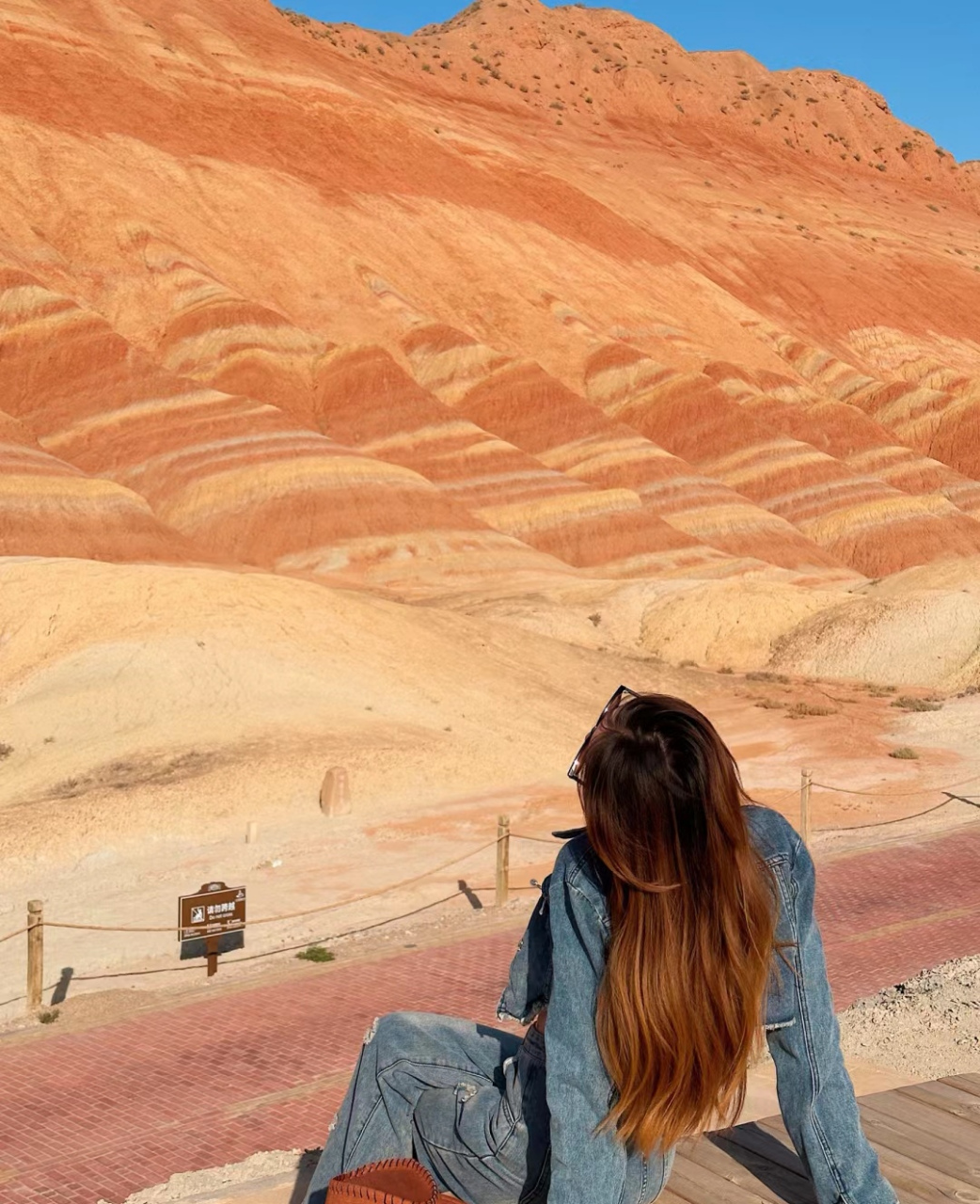 幽如水墨浮云紫,艳似丹青美女怡.  赤岭斜纹向天矗,赧峦隙缝乱枝. .
