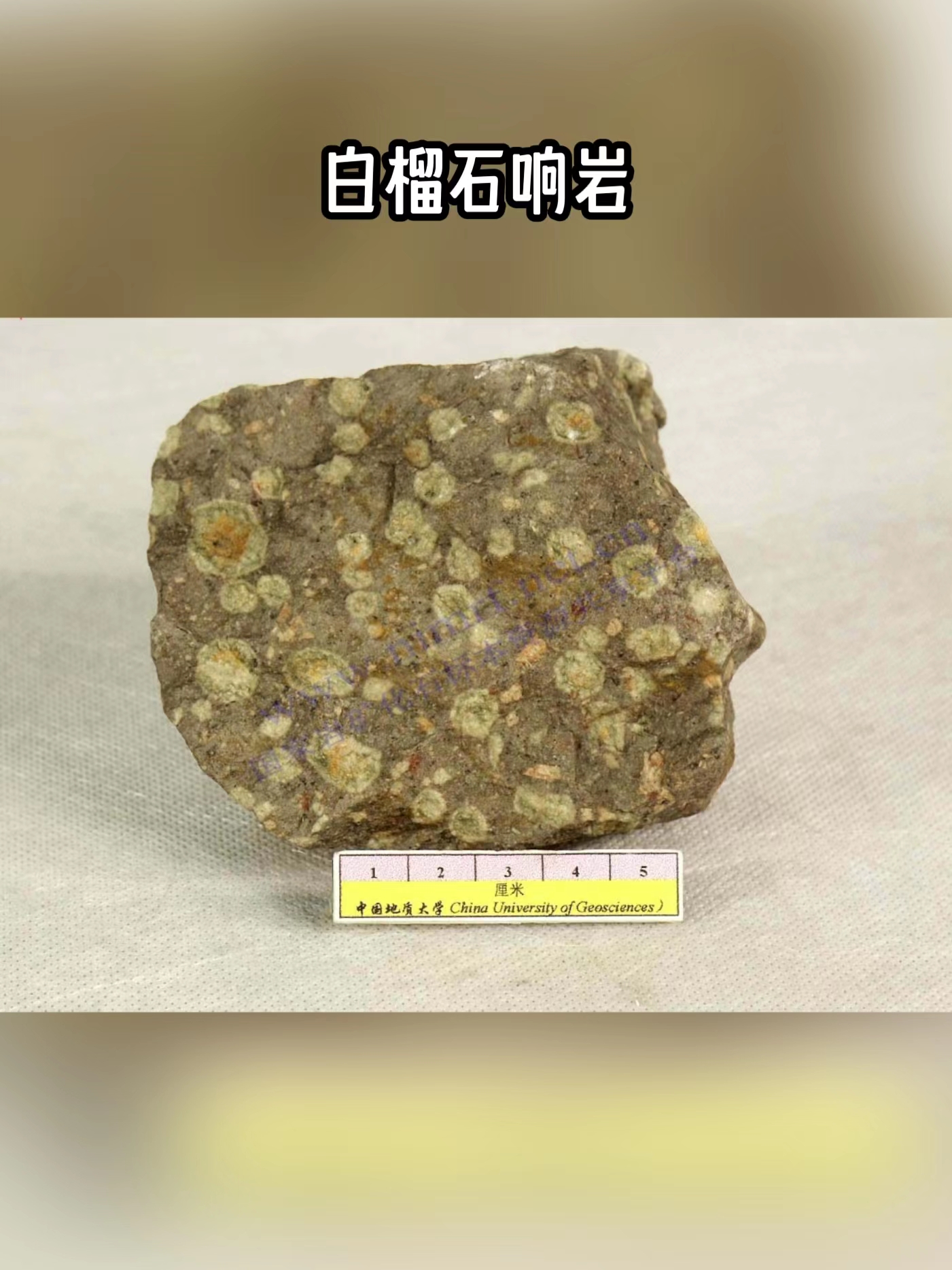 每天认识一种石头:响岩