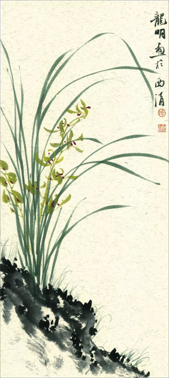 很多年前在书店买过比尔·波特所著的《空谷幽兰》,刚看封面时还以为