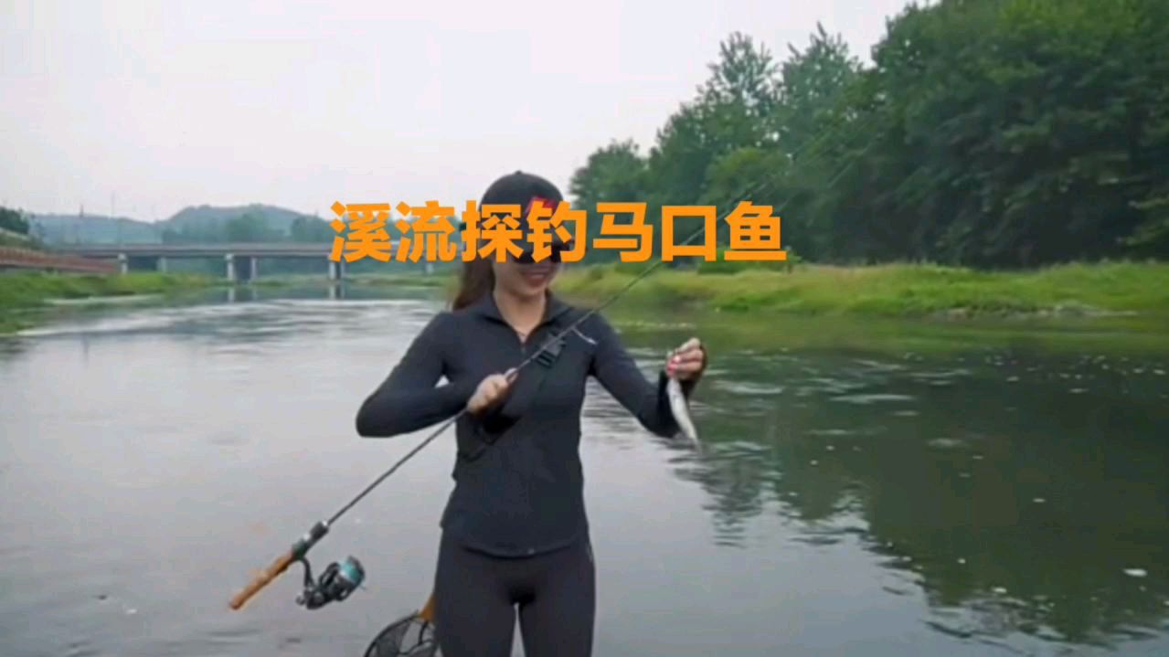 五彩斑斓的马口鱼,原来它藏在湍急的溪流里,用路亚把它钓出来