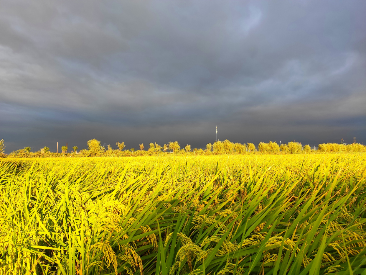 雨后的绿屏·辛庄湾